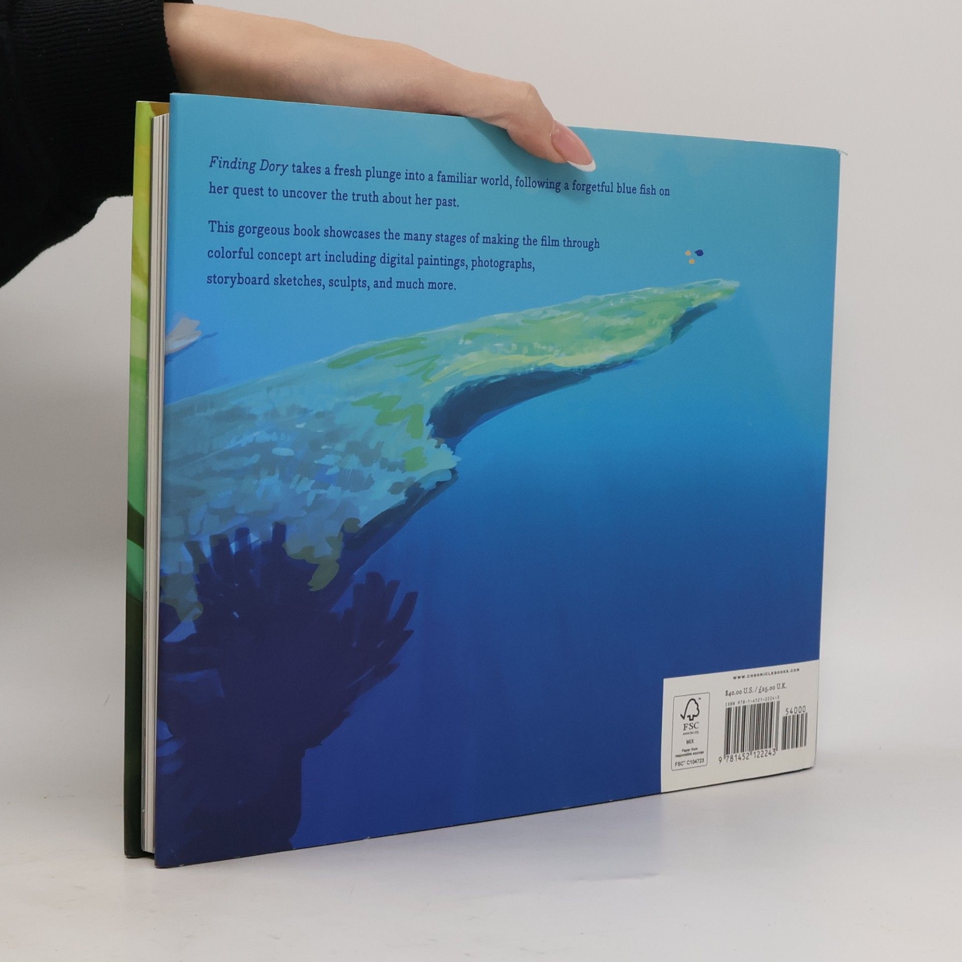 Disney Enterprises The Art of Finding Dory