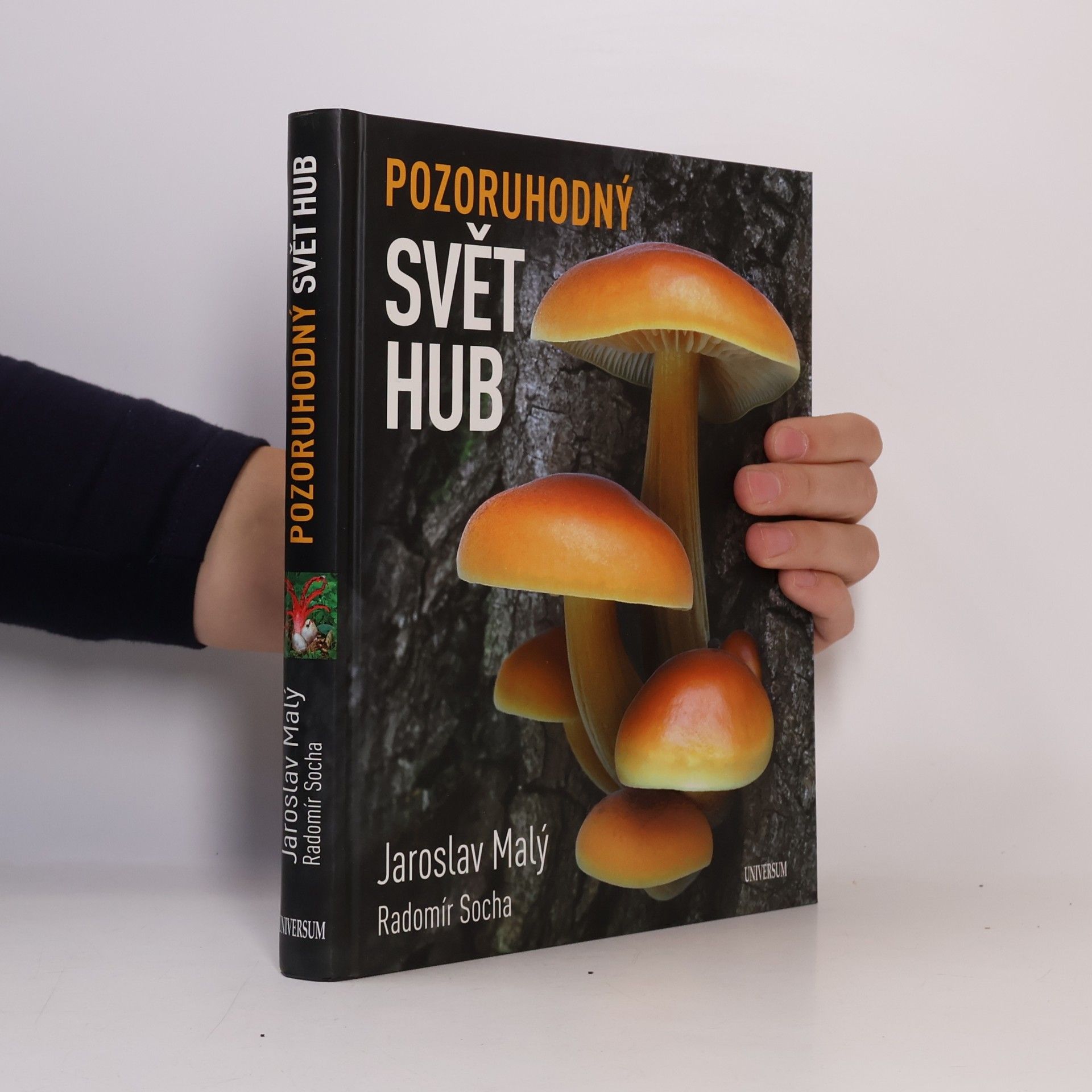 Pozoruhodný svět hub