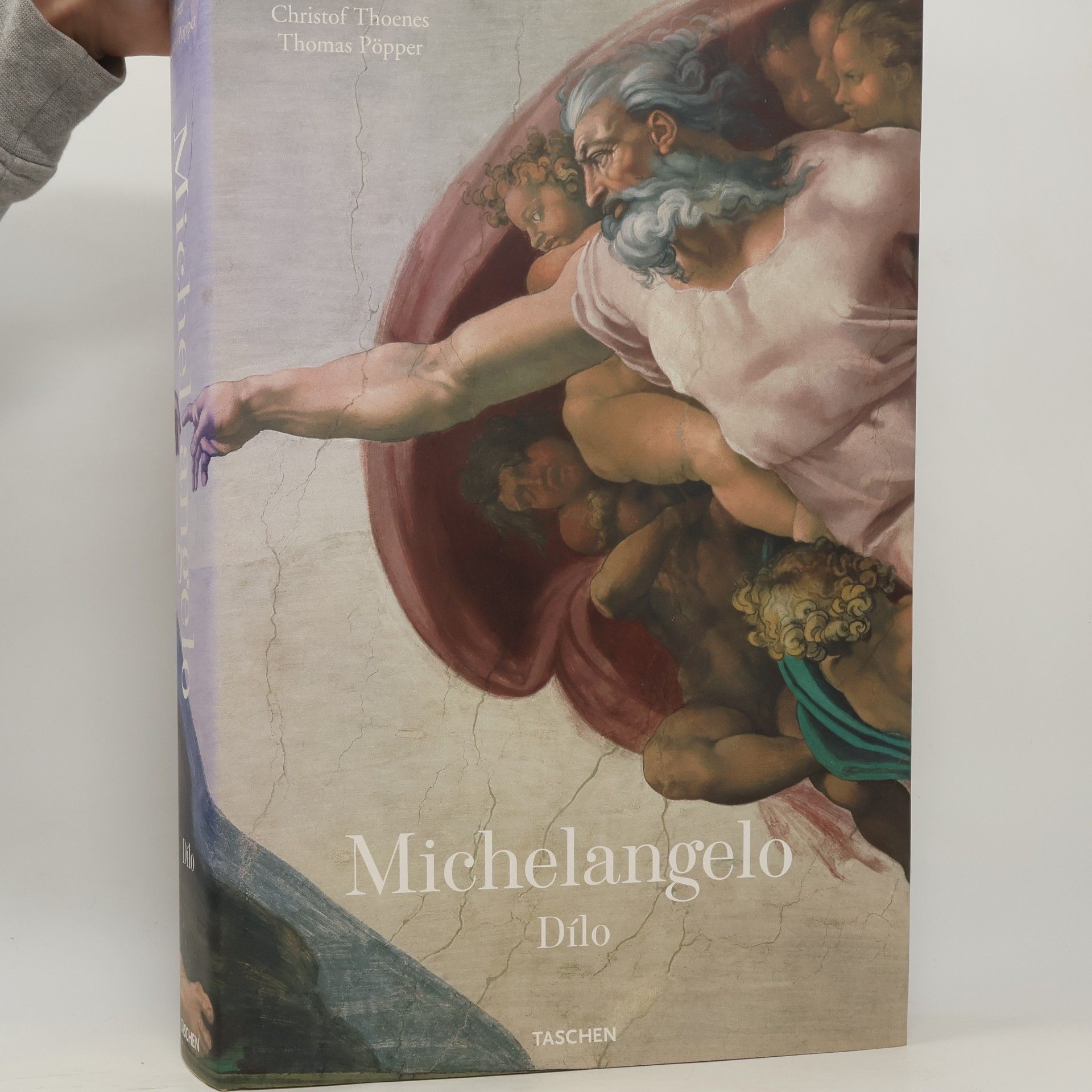 Michelangelo