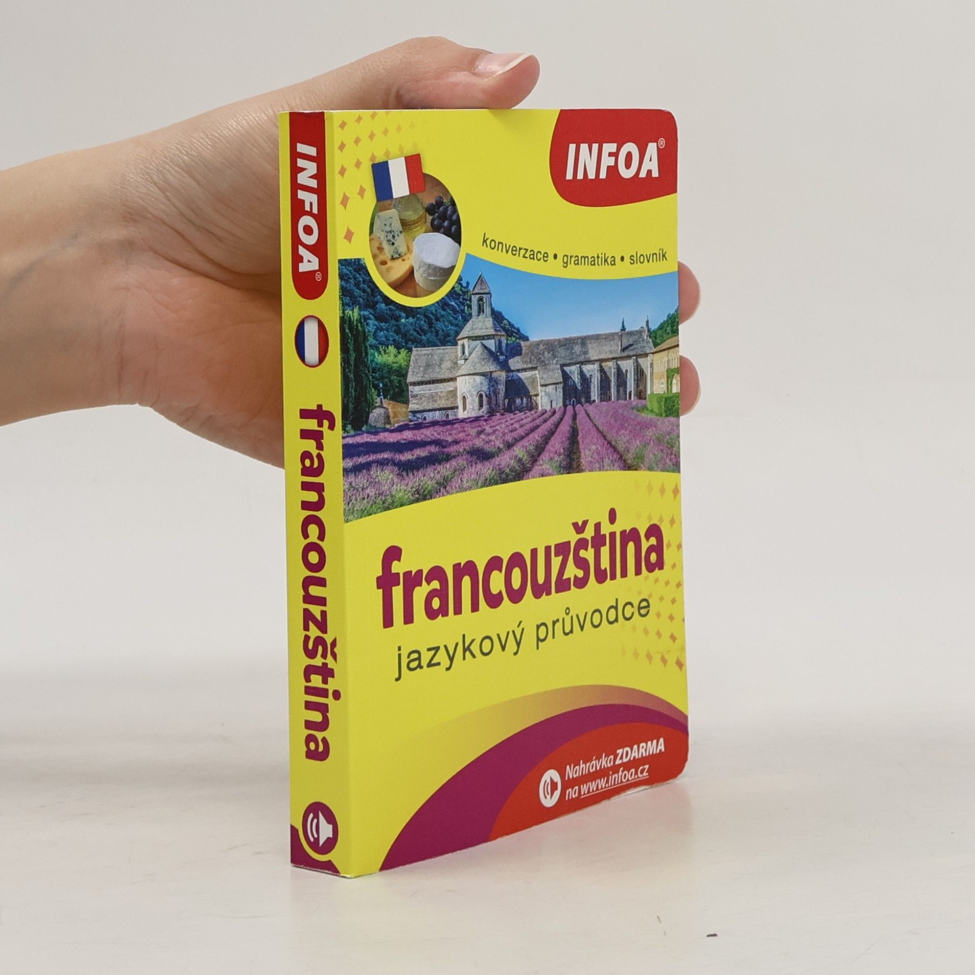 Francouzština - jazykový průvodce
