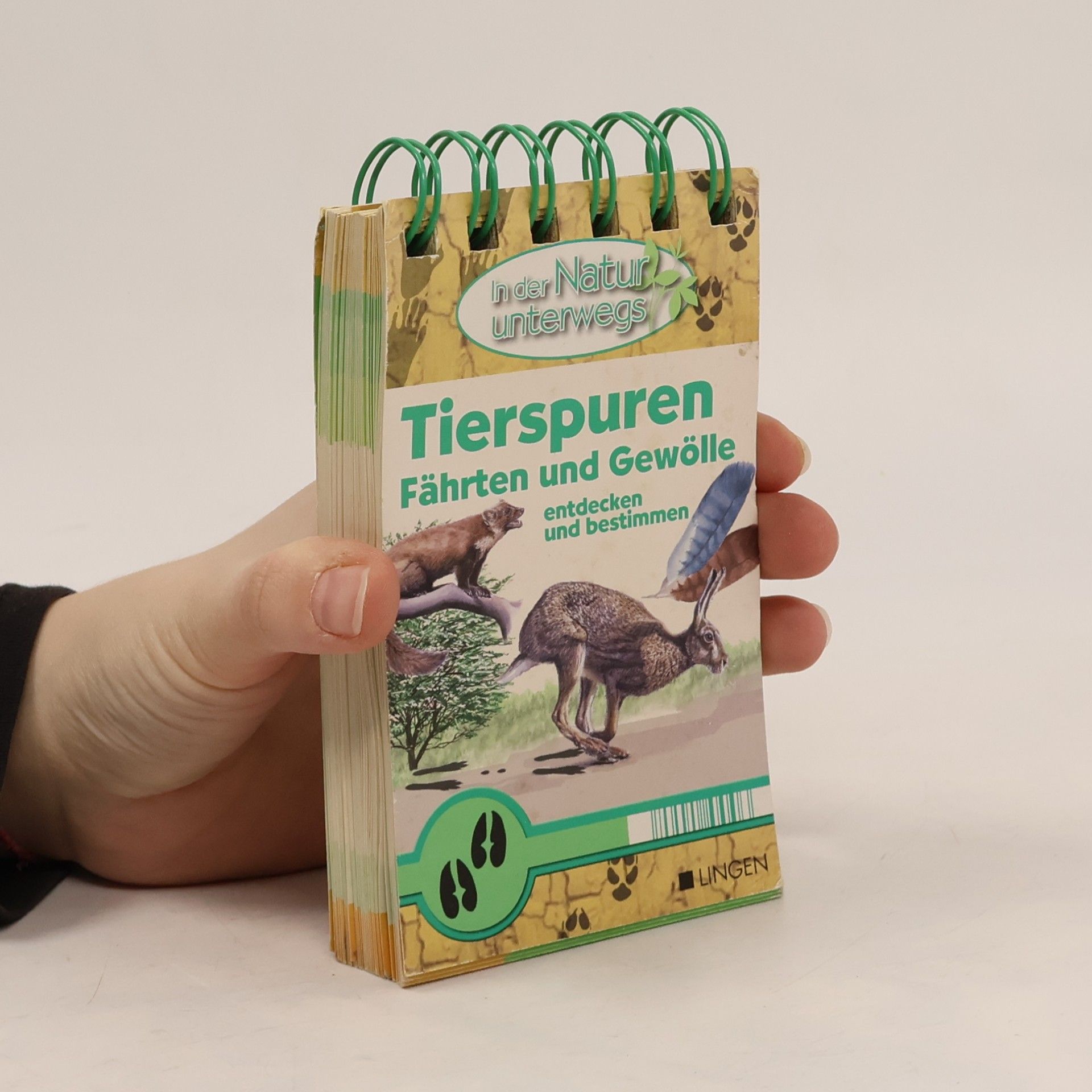 Tierspuren: Fährten und Gewölle entdecken und bestimmen