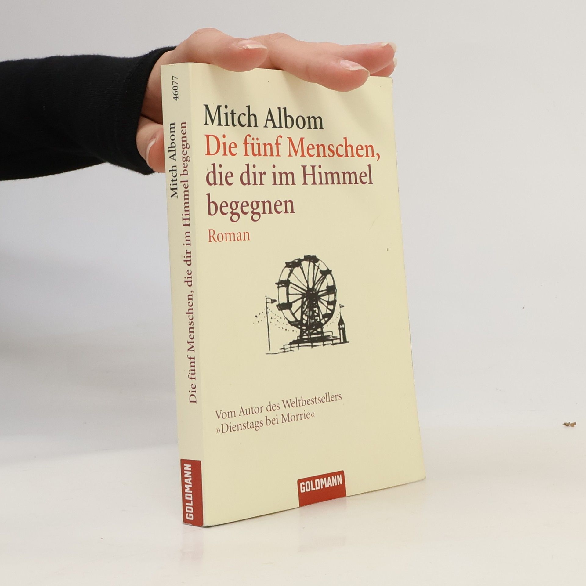 Mitch Albom Die fünf Menschen, die dir im Himmel begegnen