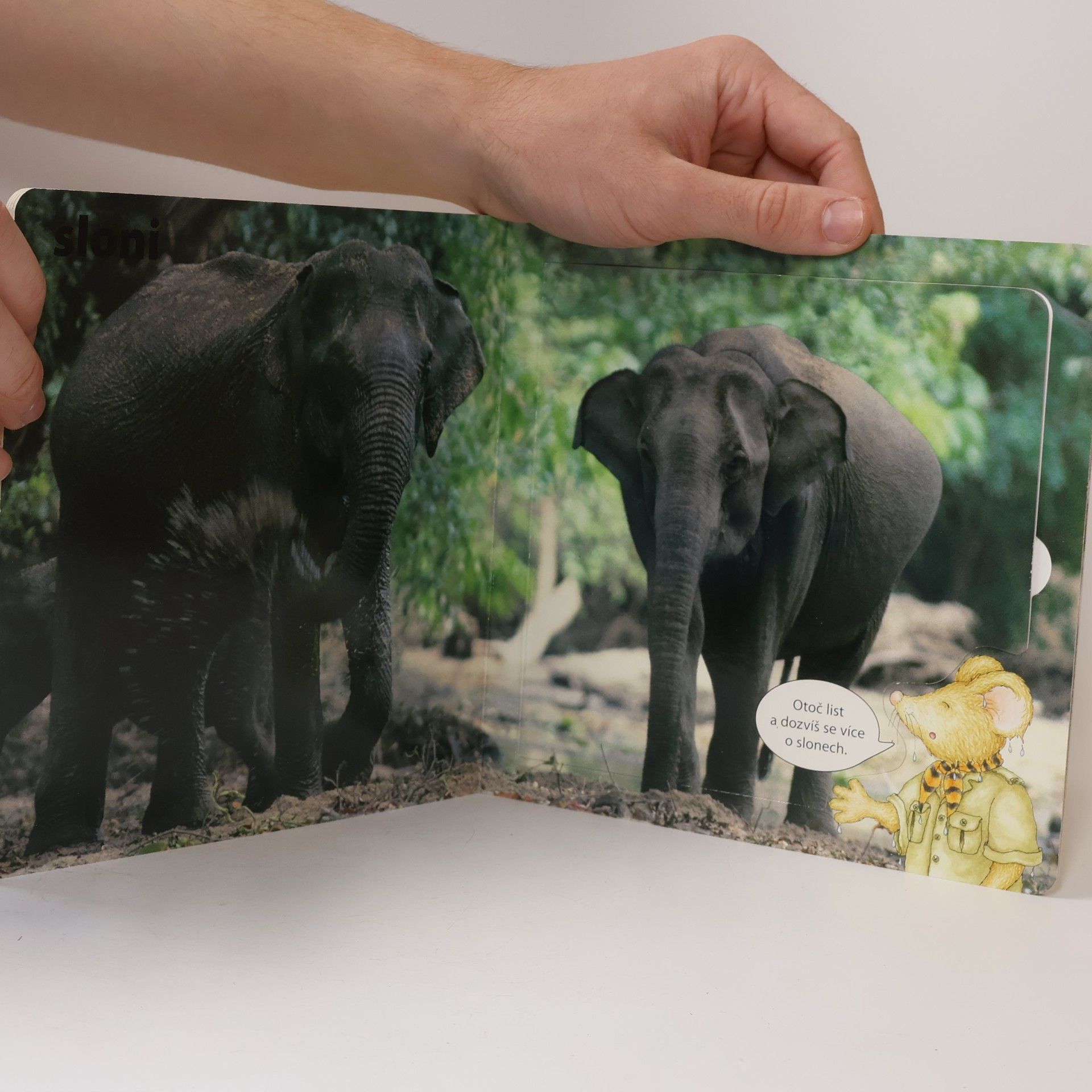 Various authors Nauč se poznávat zvířata ze ZOO