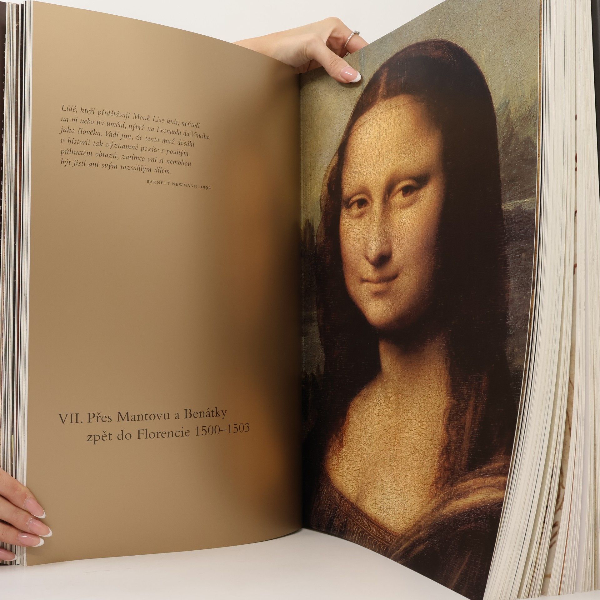Frank Zöllner Leonardo da Vinci. Malířské a kreslířské dílo