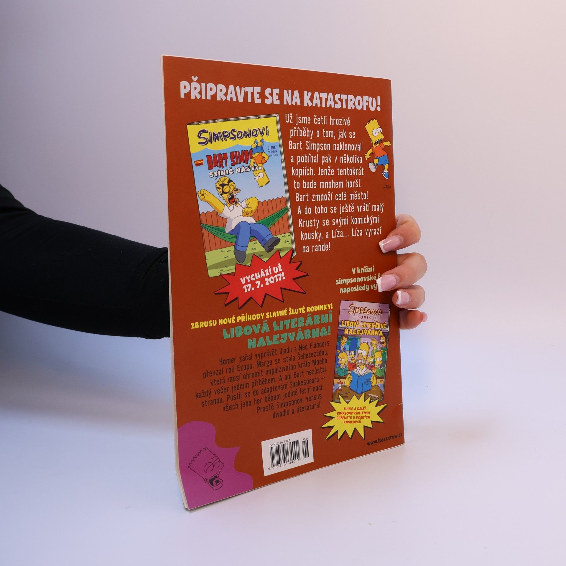 Matt Groening Simpsonovi - Bart Simpson 6/2017 - Kámen úrazu