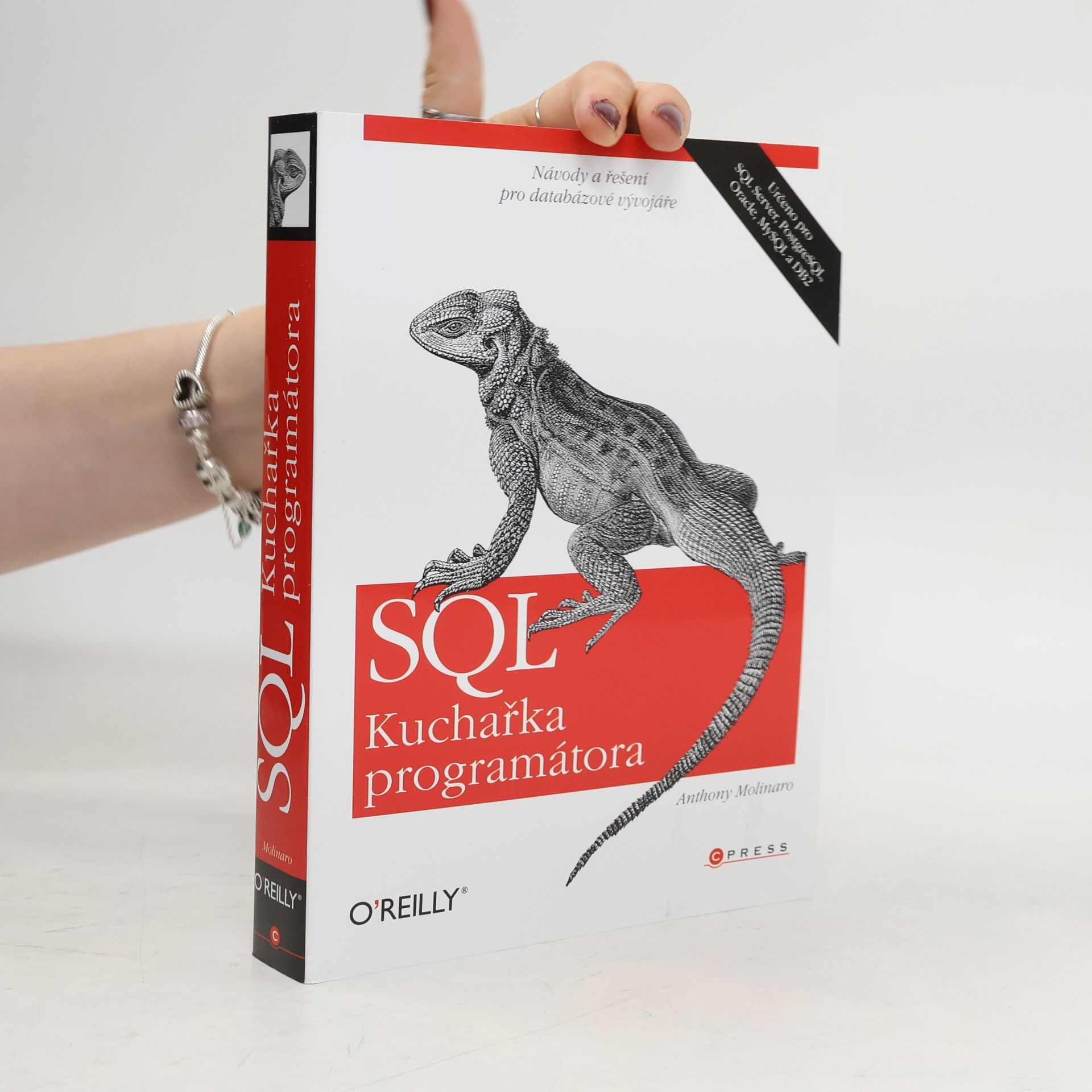 Anthony Molinaro SQL. Kuchařka programátora