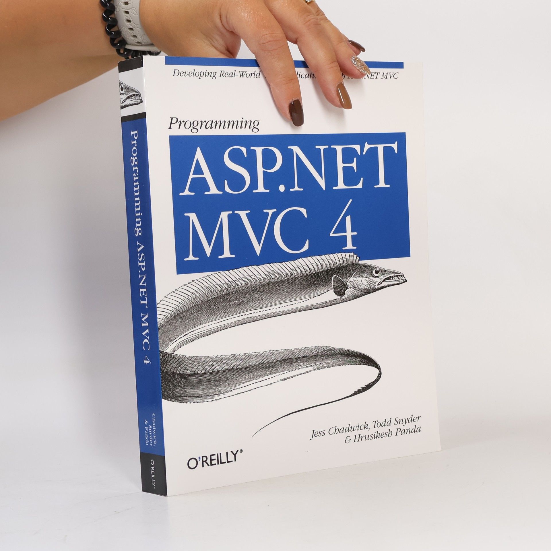 Programming ASP.NET MVC 4