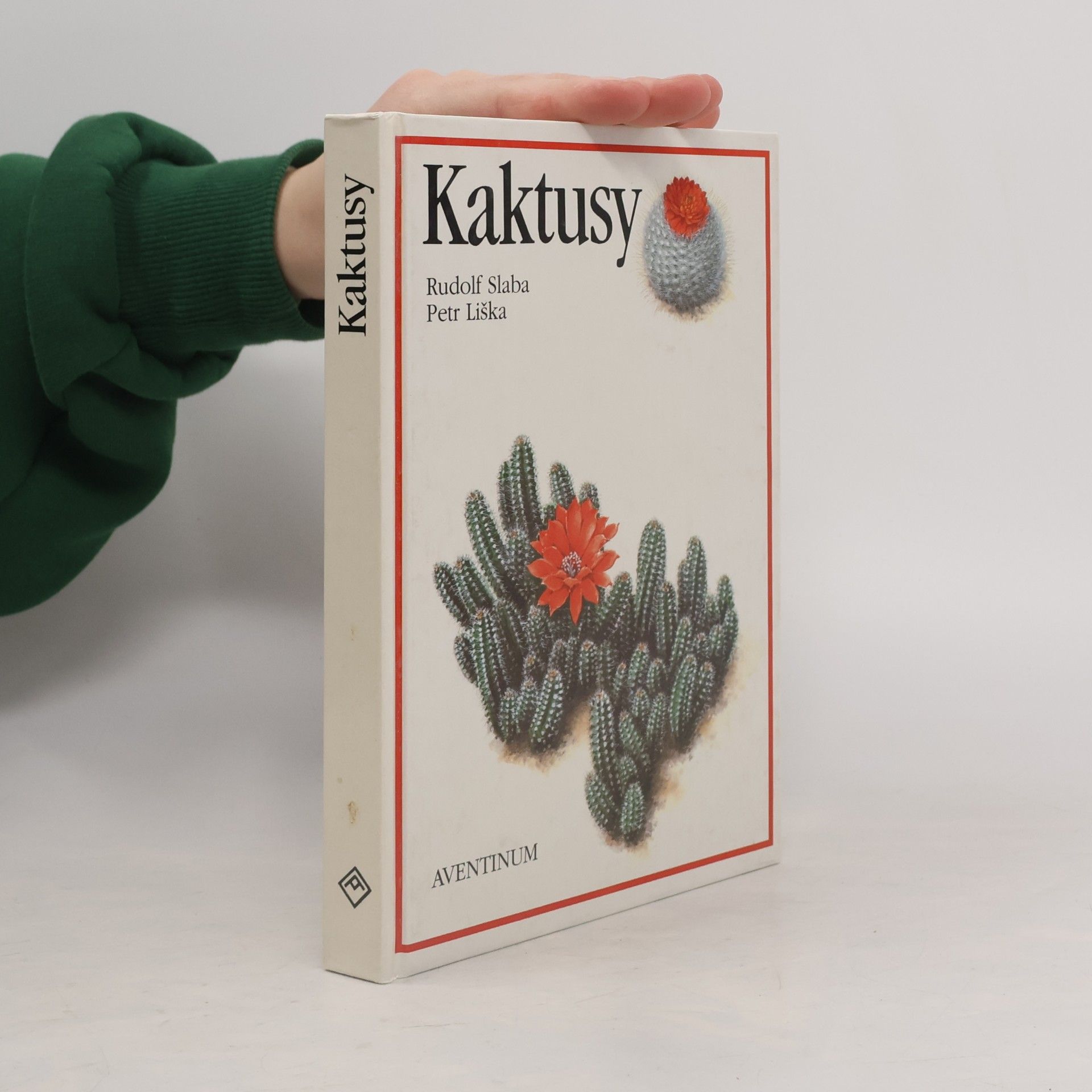 Kaktusy
