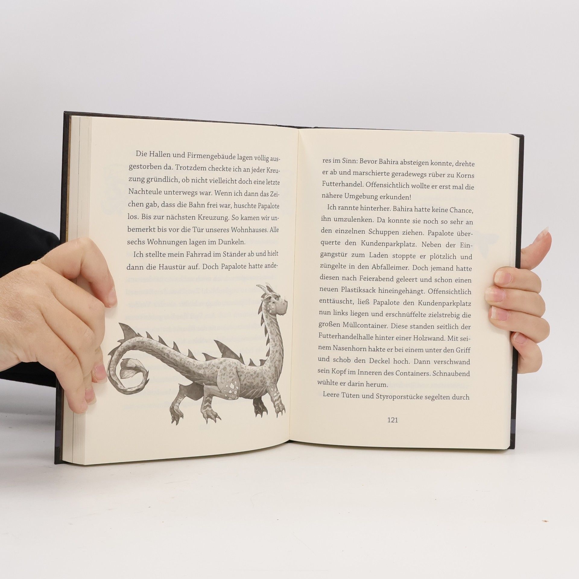 Annette Roeder Weck niemals einen Drachen! 1