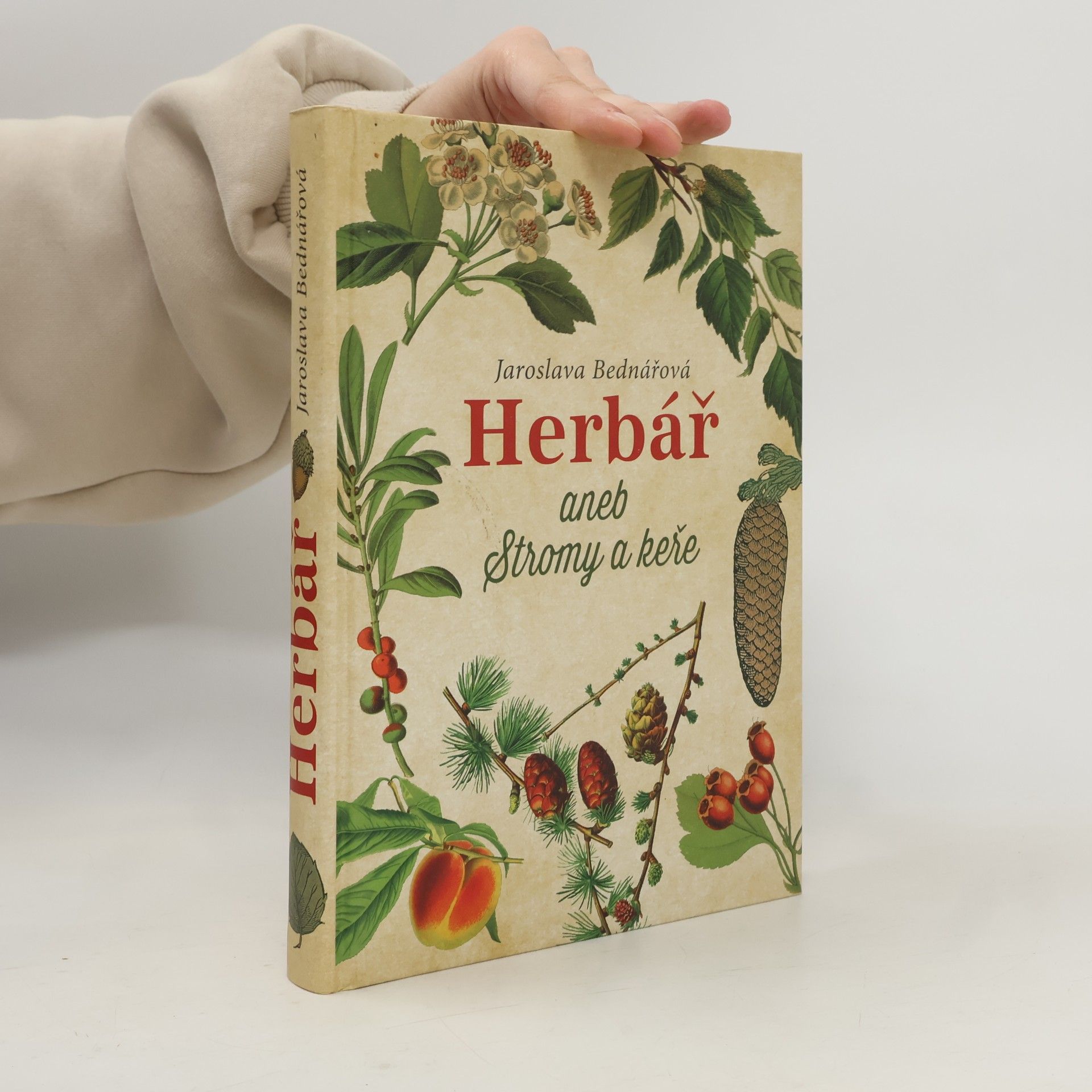 Jaroslava Bednářová Herbář aneb Stromy a keře
