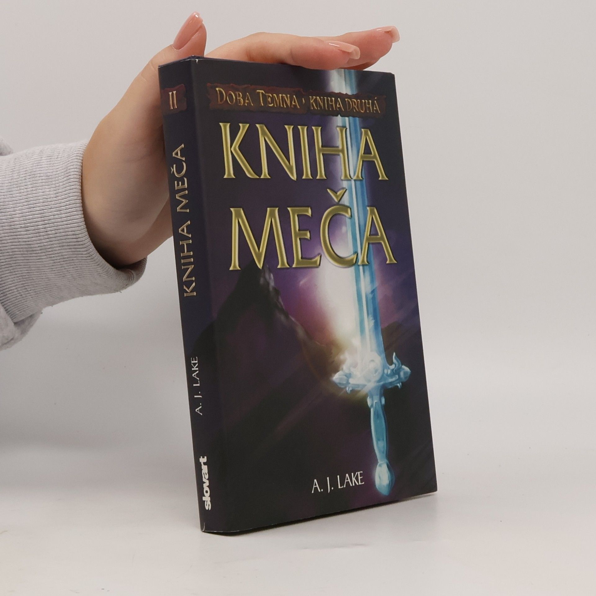 Kniha meča