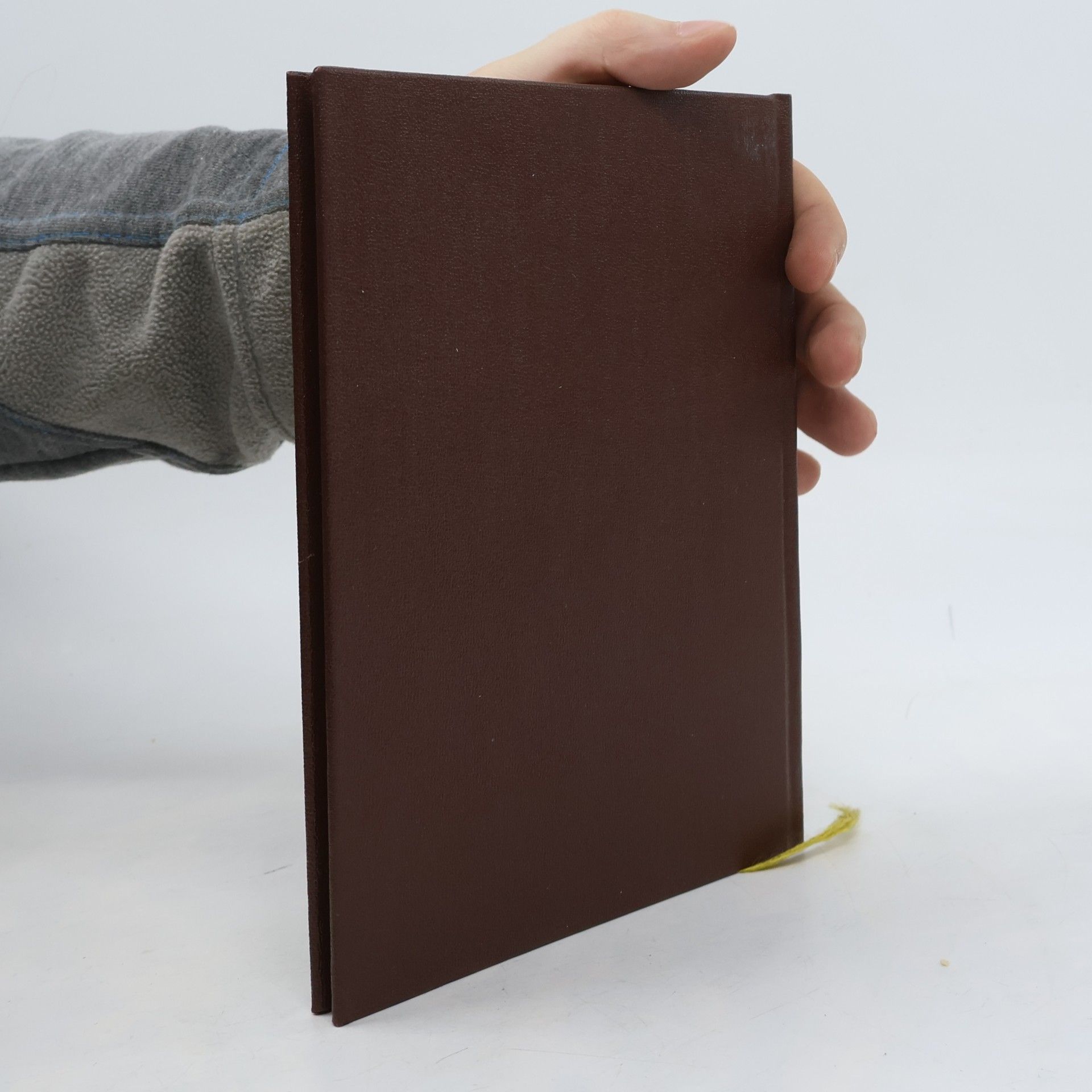 Kolektiv autorů Světoví pěvci 20. století