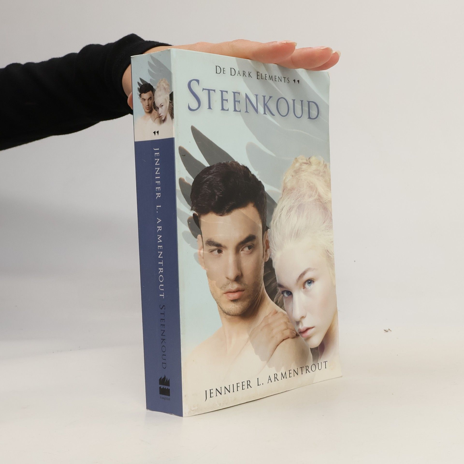 Jennifer L. Armentrout De Dark Elements: Steenkoud