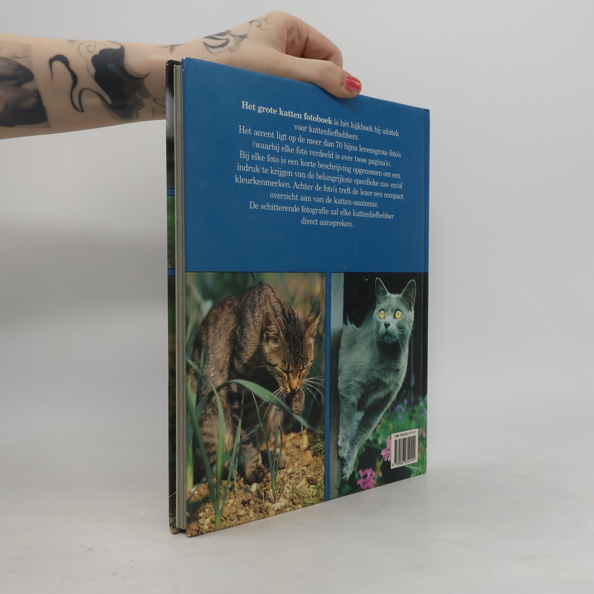K. de Bruin-Hogesteger Het grote katten fotoboek