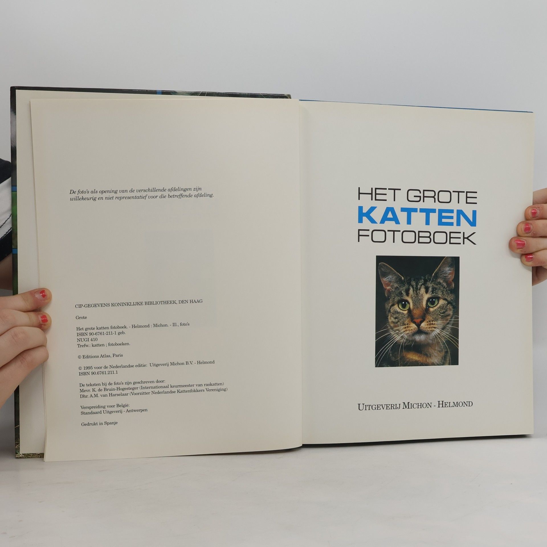 K. de Bruin-Hogesteger Het grote katten fotoboek