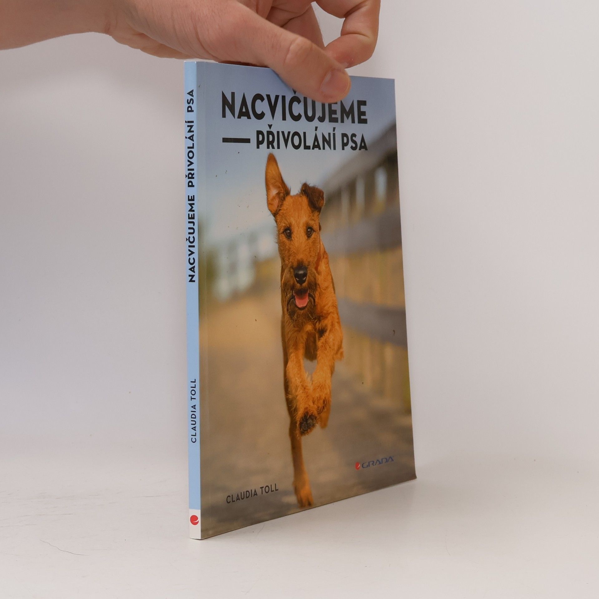 Nacvičujeme přivolání psa