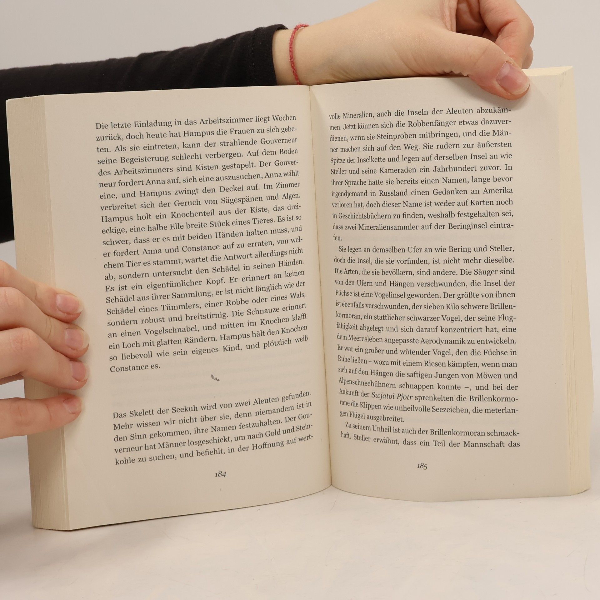 Iida Turpeinen Das Wesen des Lebens: Roman