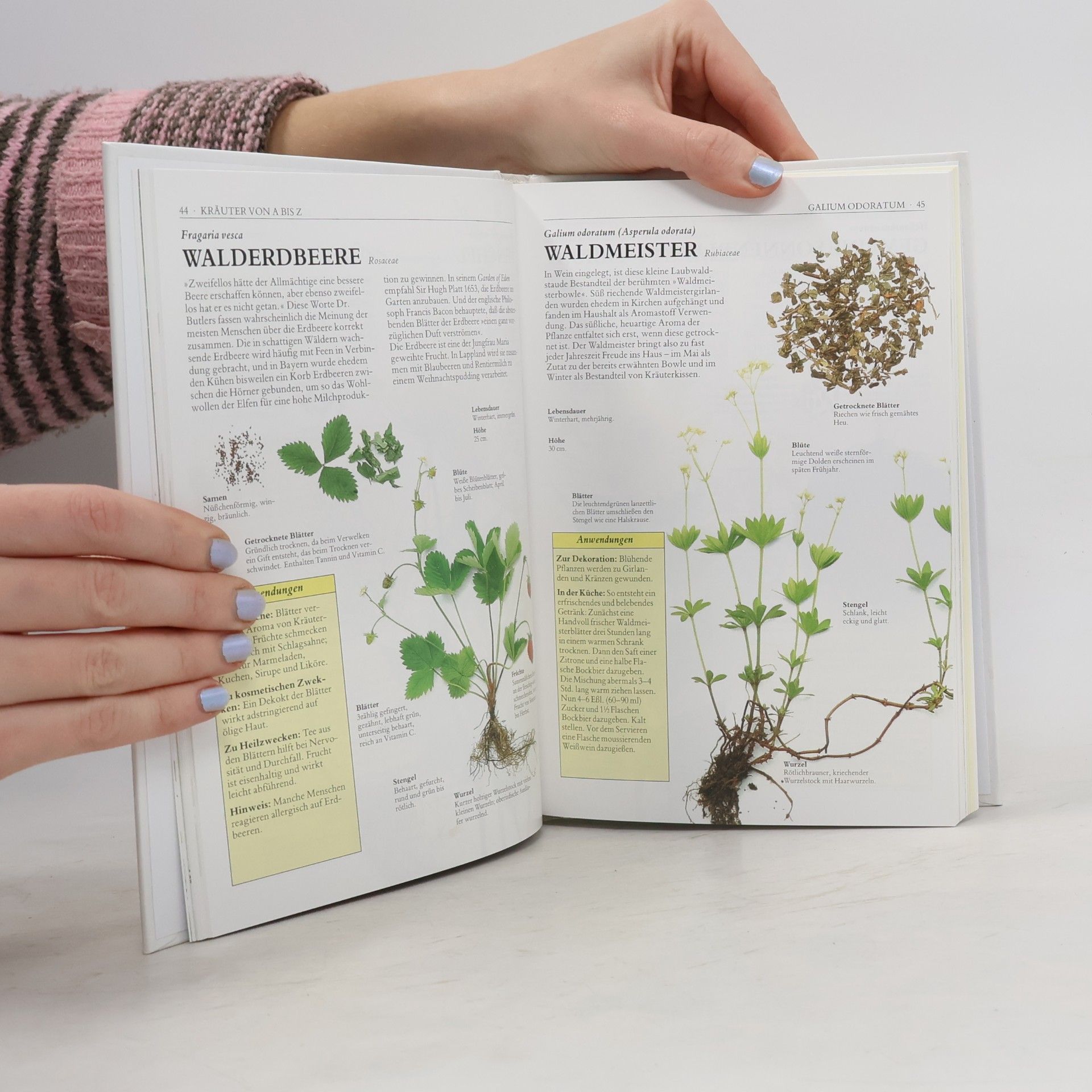 Autores varios Die ganze Welt der Kräuter