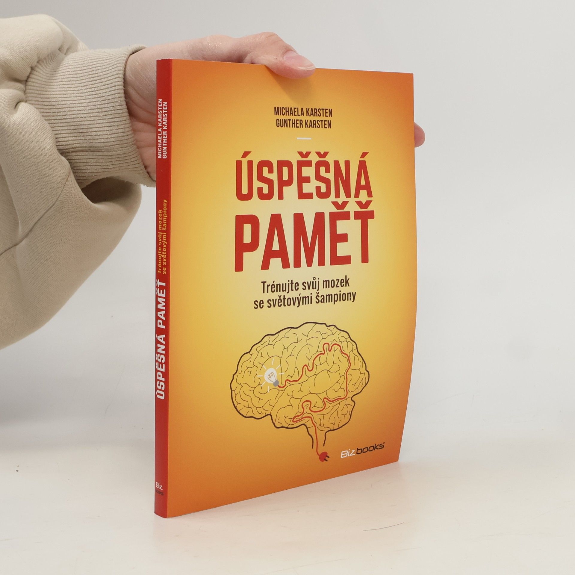 Úspěšná paměť