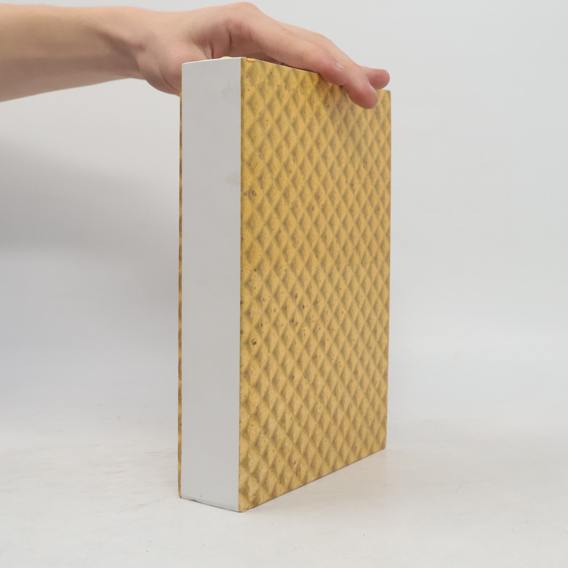 Pim Reinders Licks, Sticks & Bricks. A World History