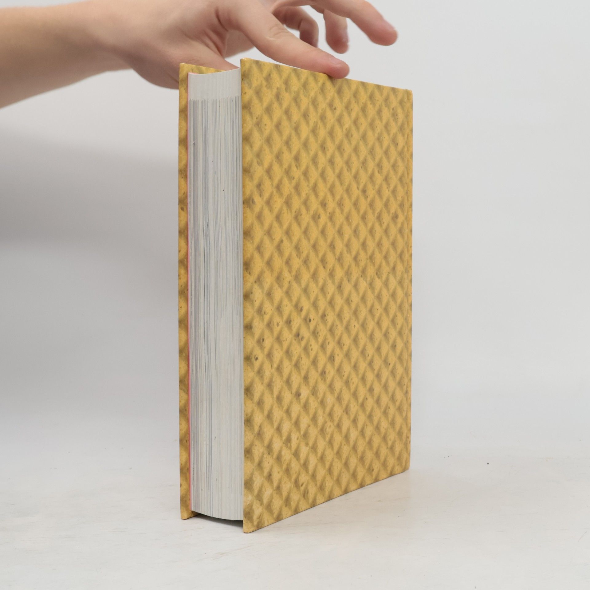 Pim Reinders Licks, Sticks & Bricks. A World History