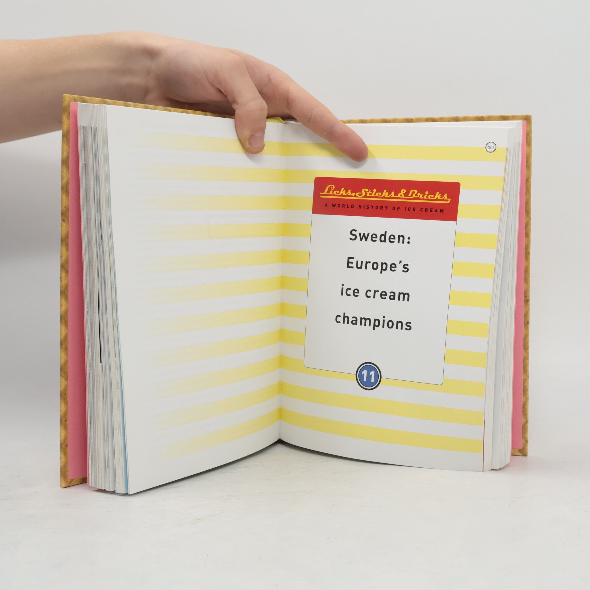 Pim Reinders Licks, Sticks & Bricks. A World History