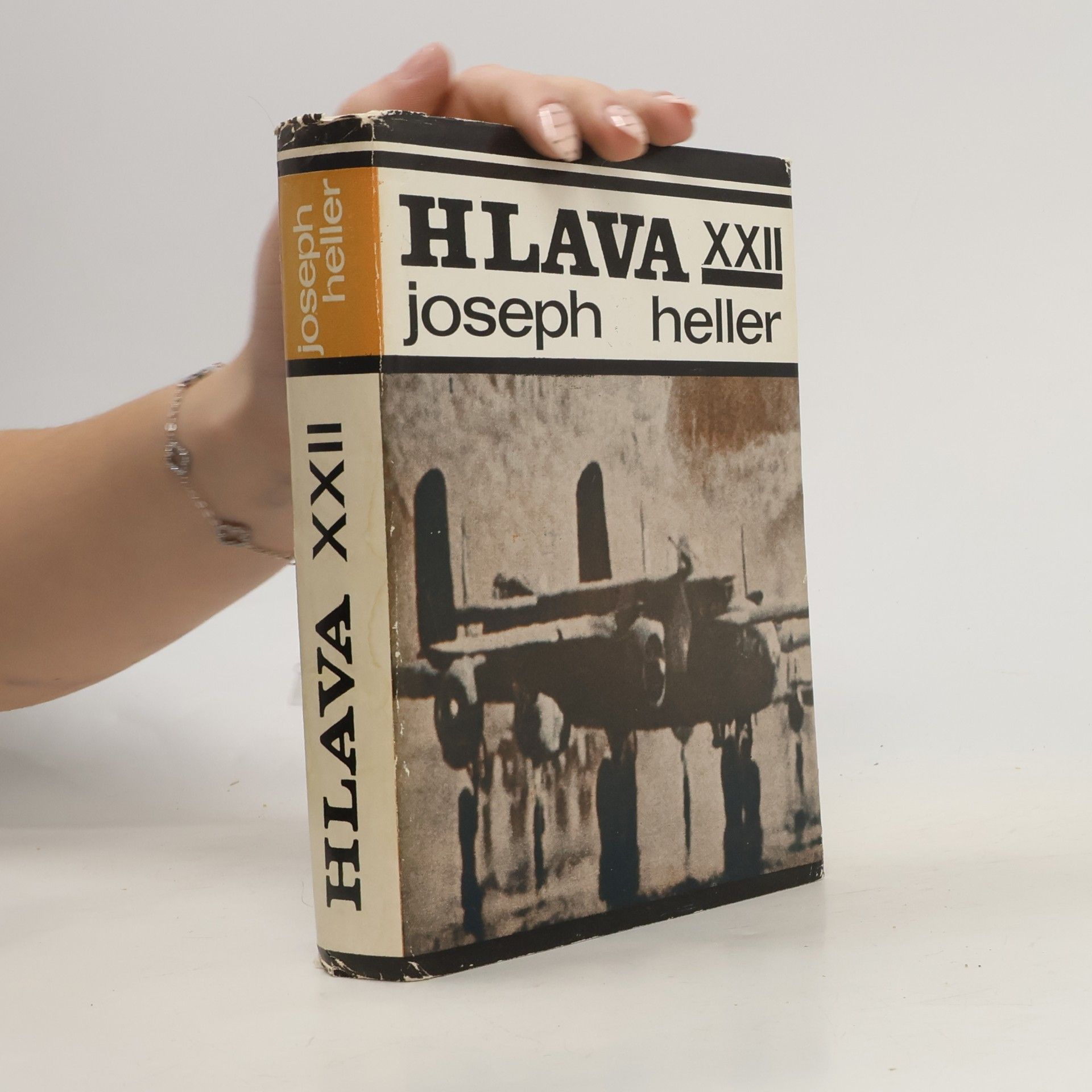 HLAVA XXII