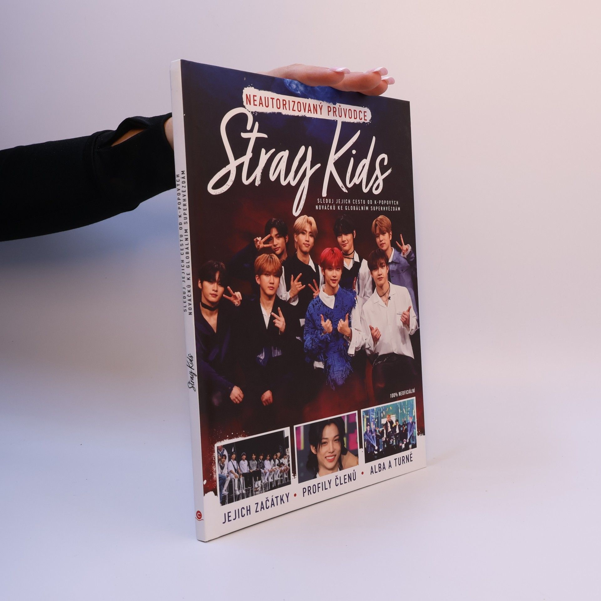 Various authors Stray Kids