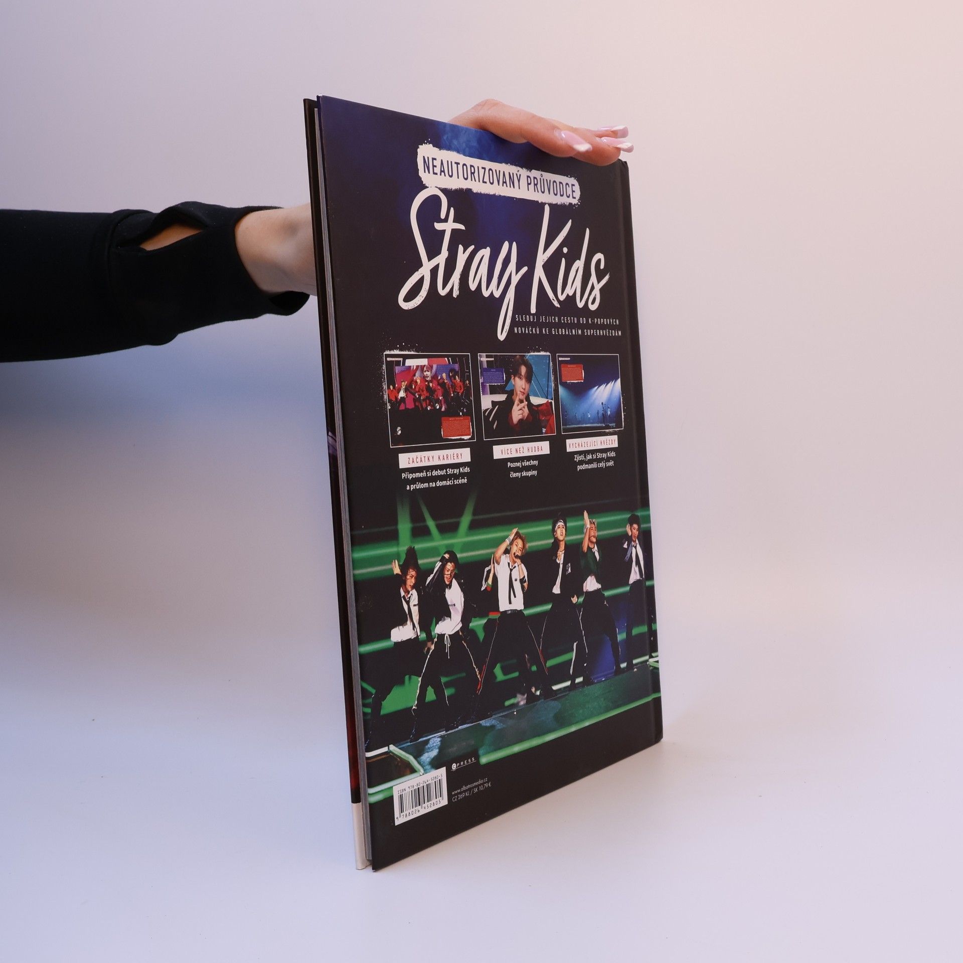 Various authors Stray Kids
