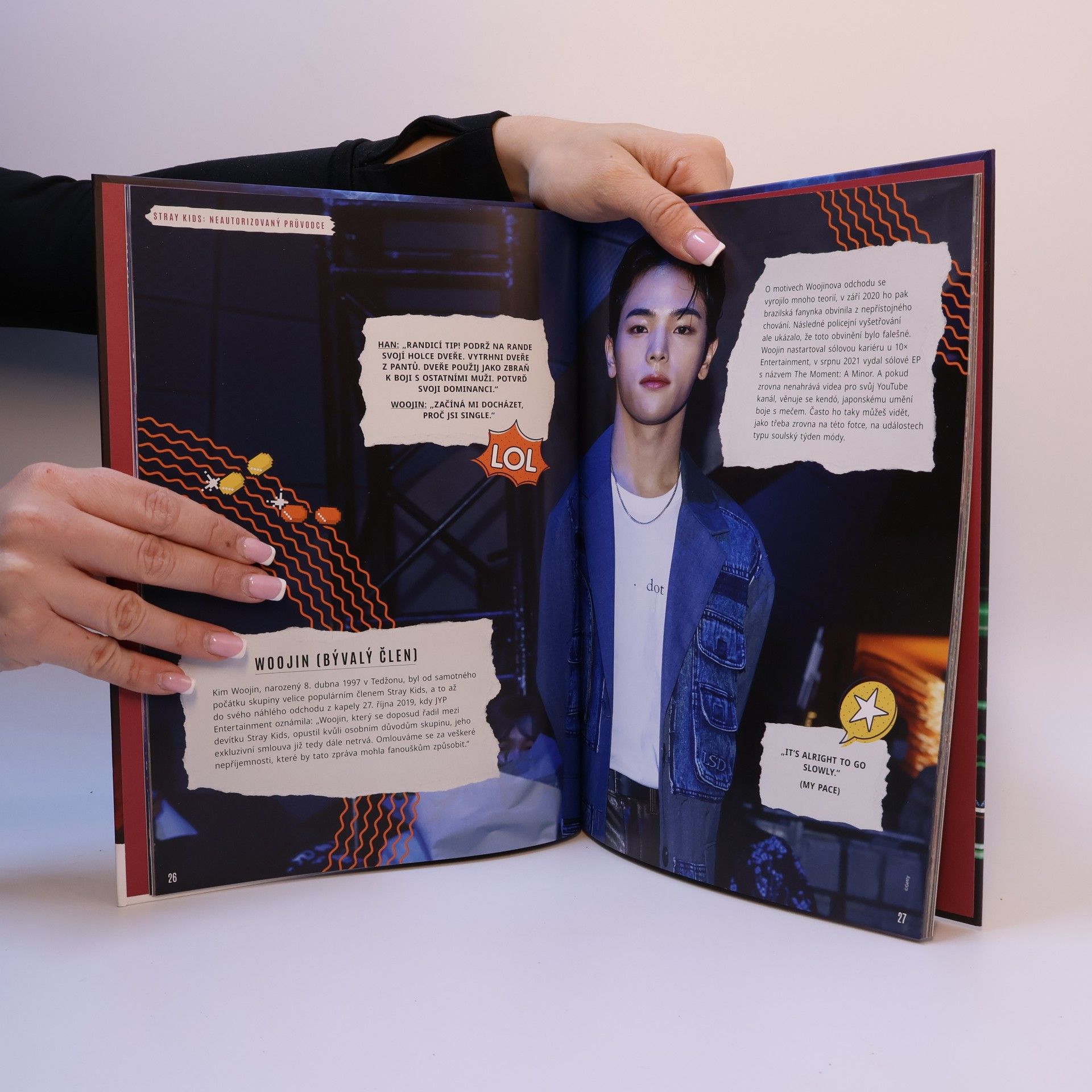 Various authors Stray Kids
