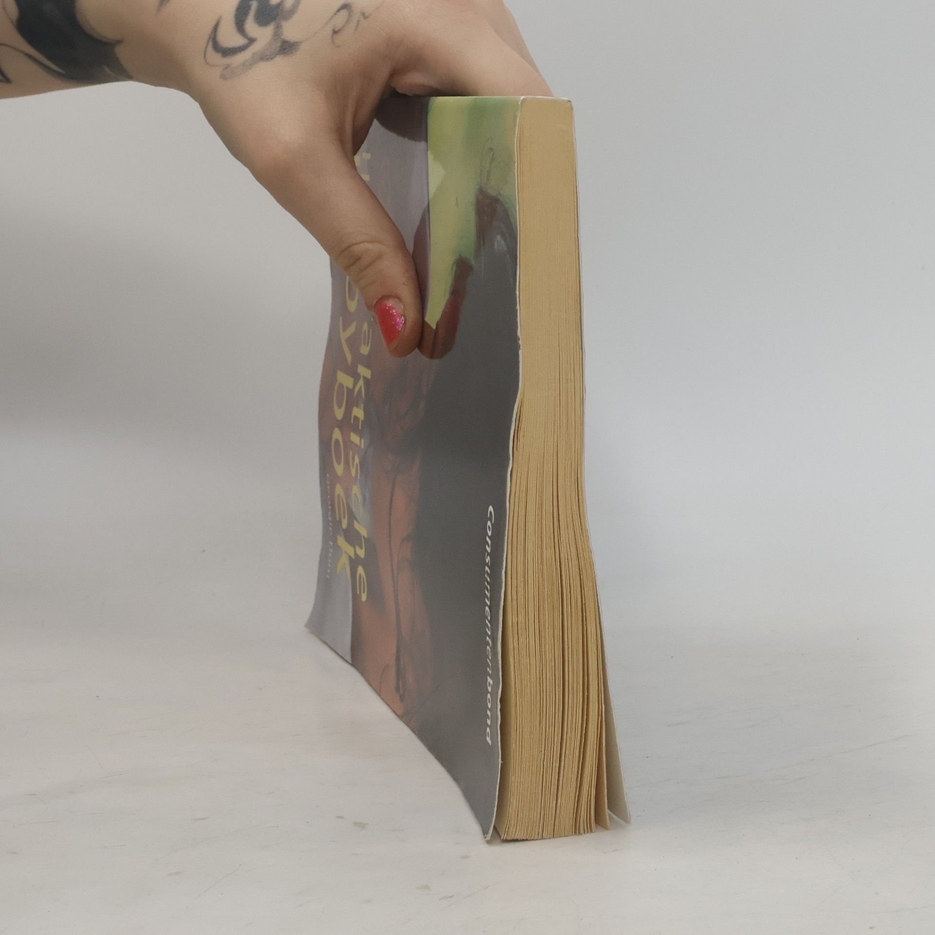 Georgie Dom Het praktische babyboek