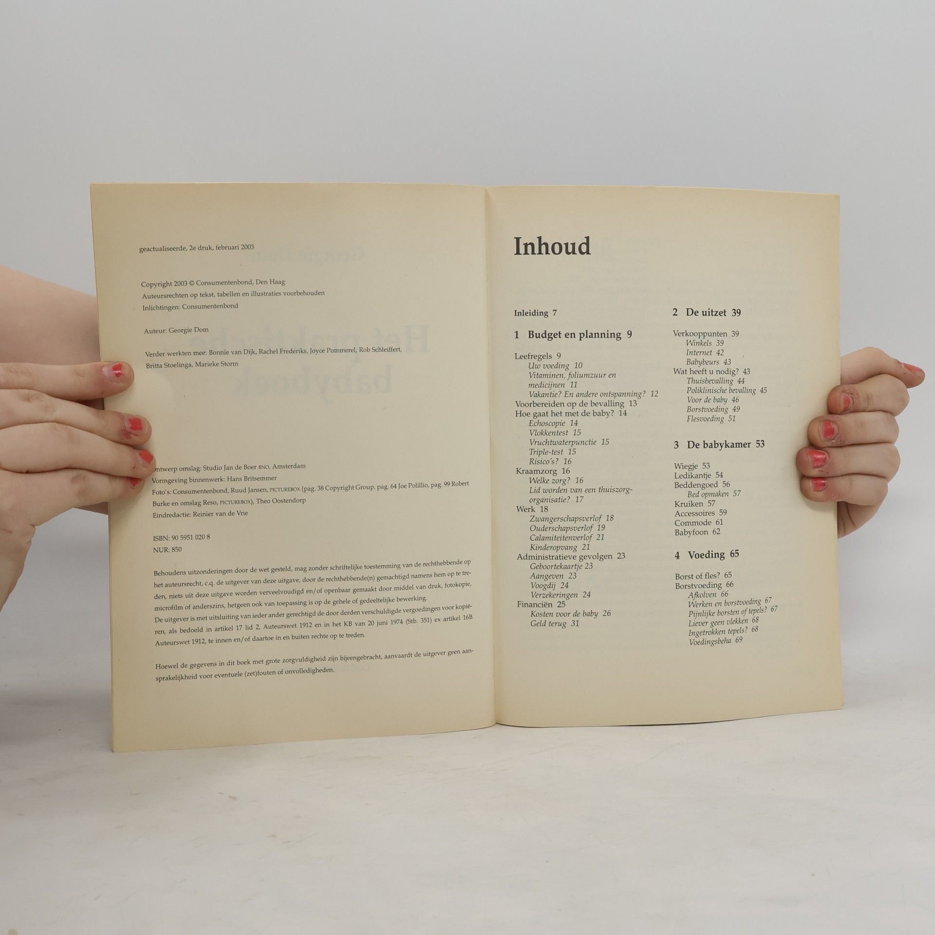 Georgie Dom Het praktische babyboek