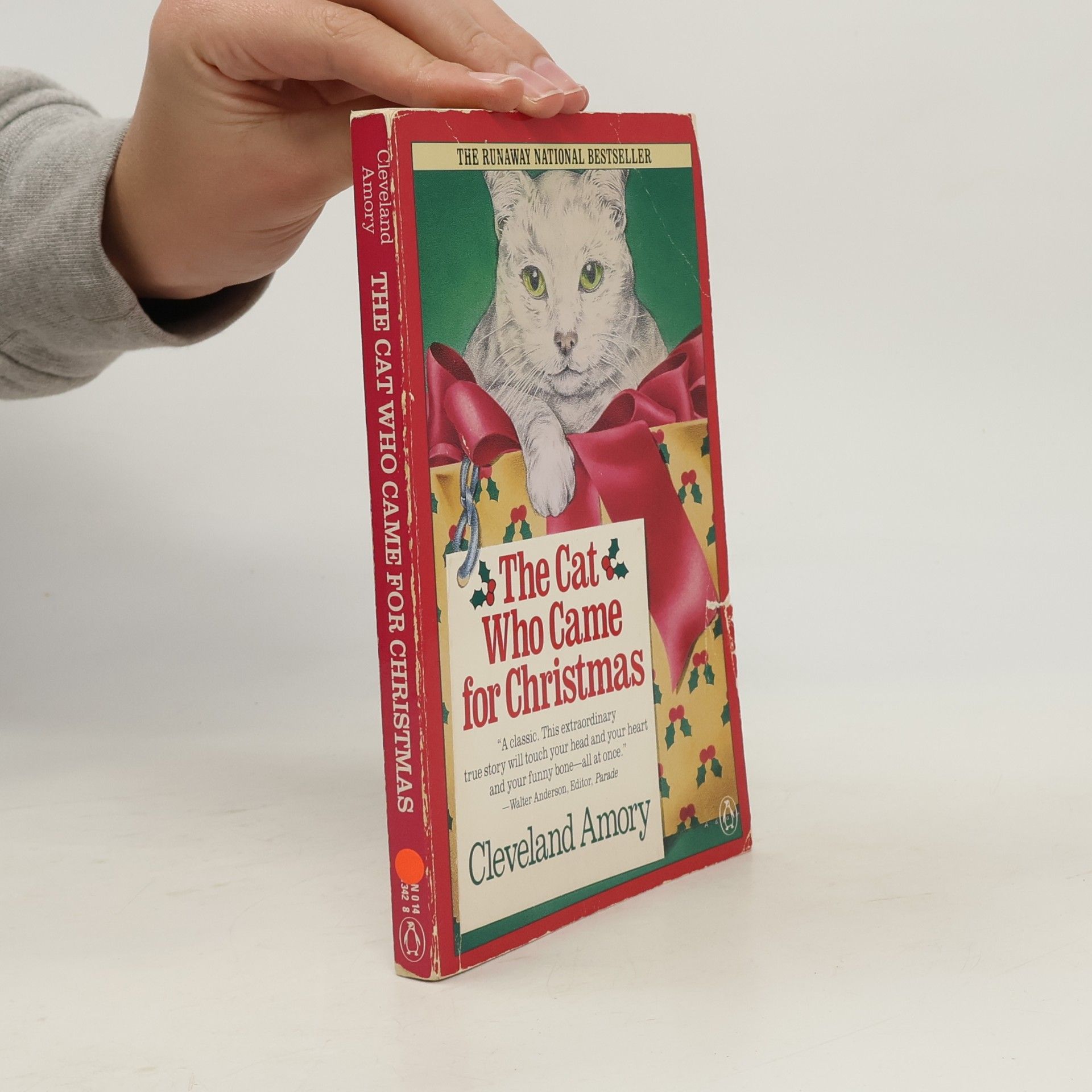 The Cat Who Came for Christmas
