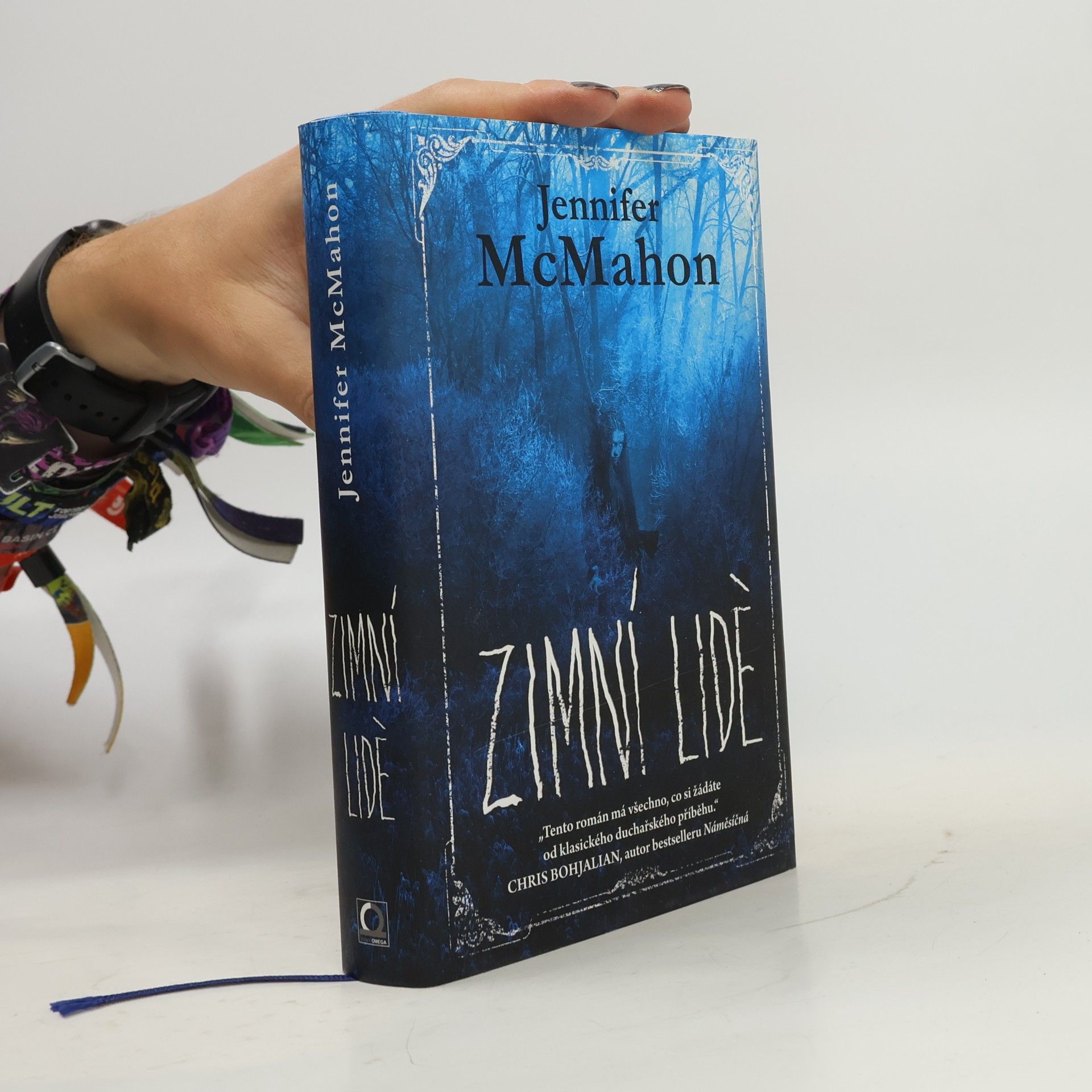 Jennifer McMahon Zimní lidé