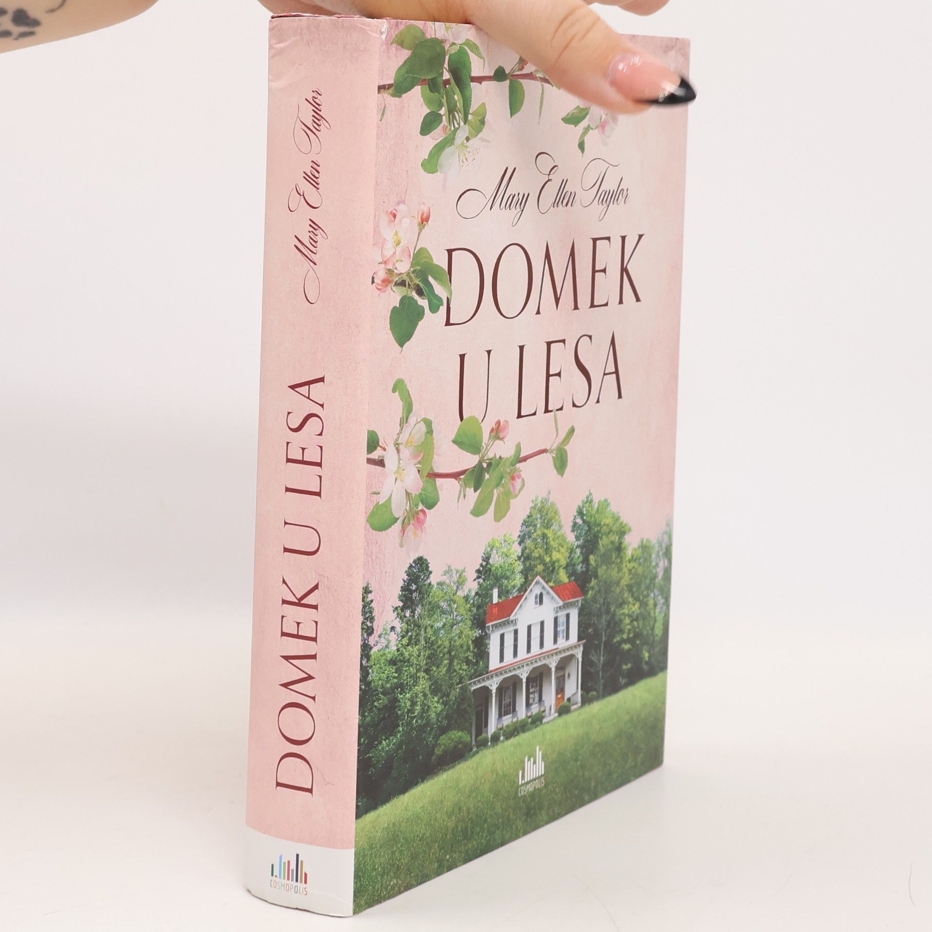 Domek u lesa