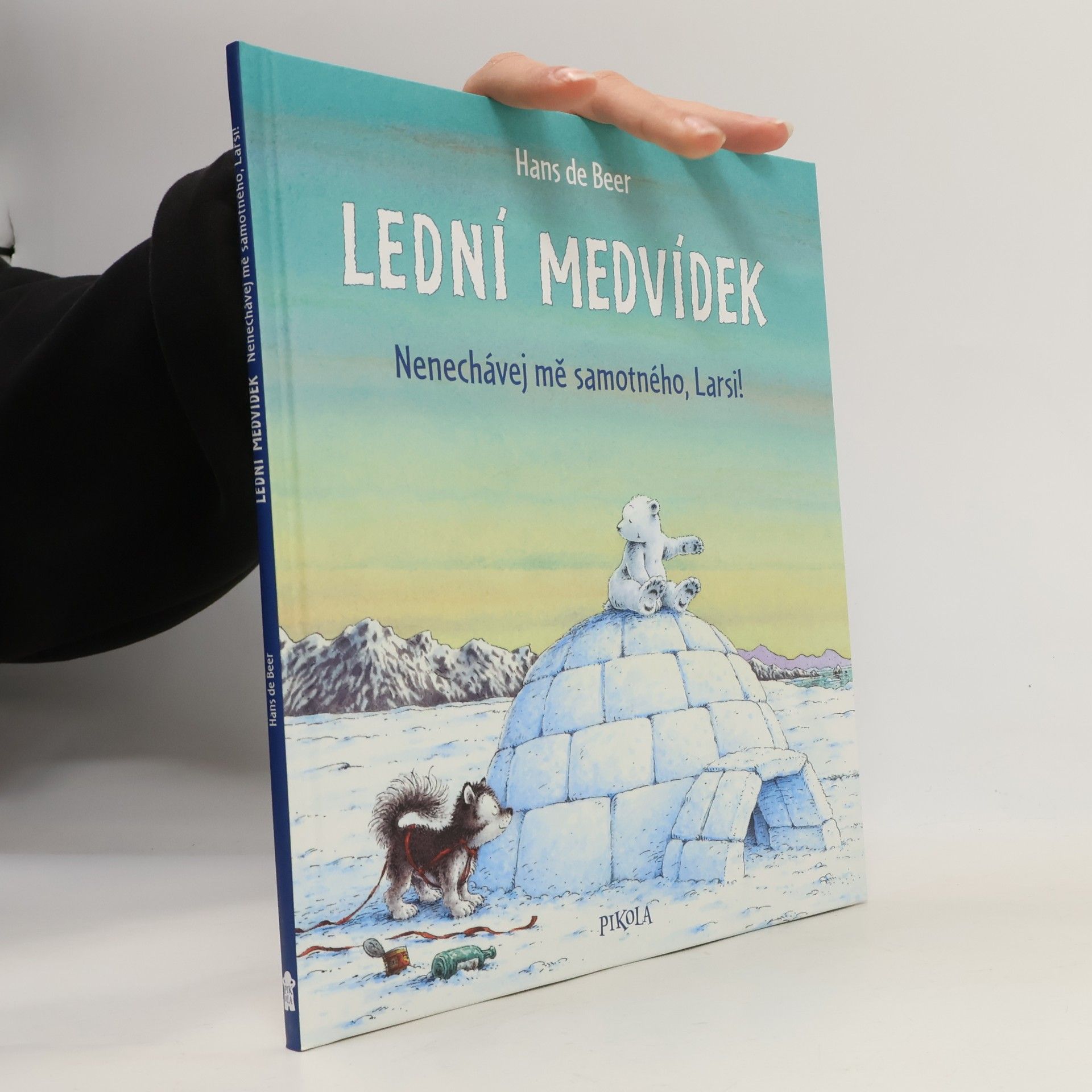 Lední medvídek