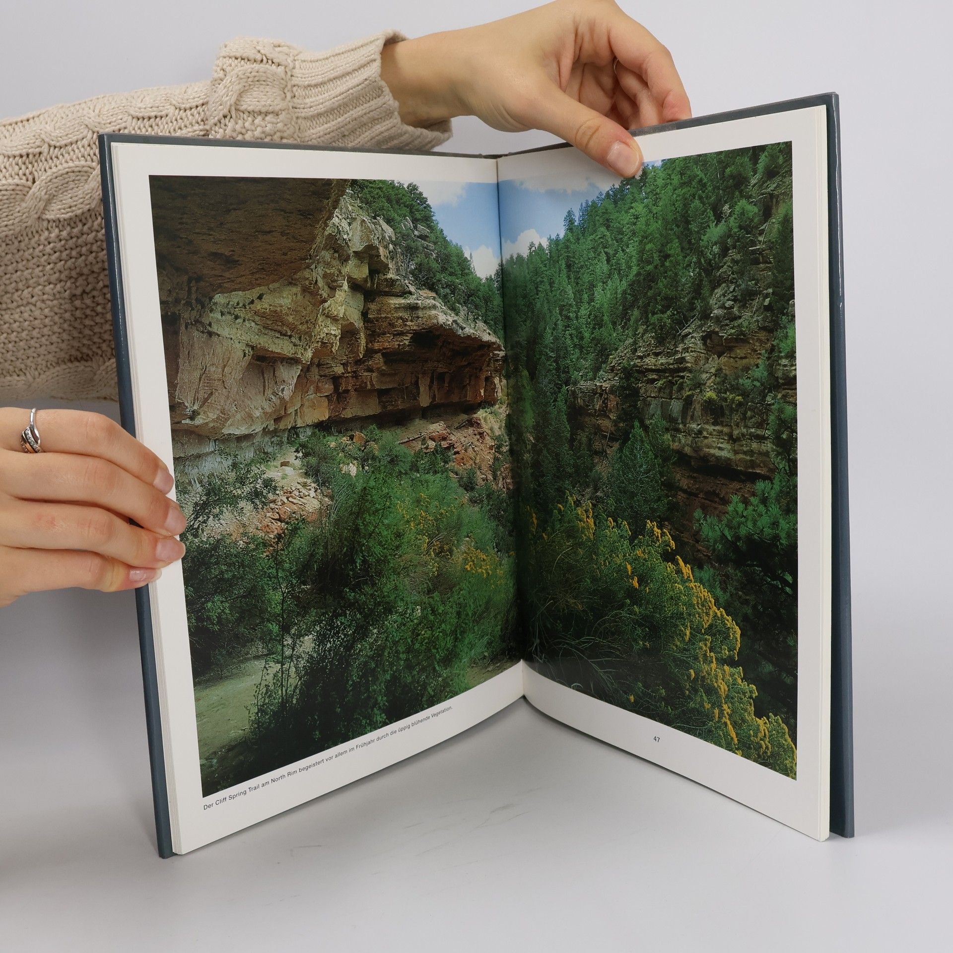 Collectif d'auteurs Traumziel Amerika. Grand Canyon
