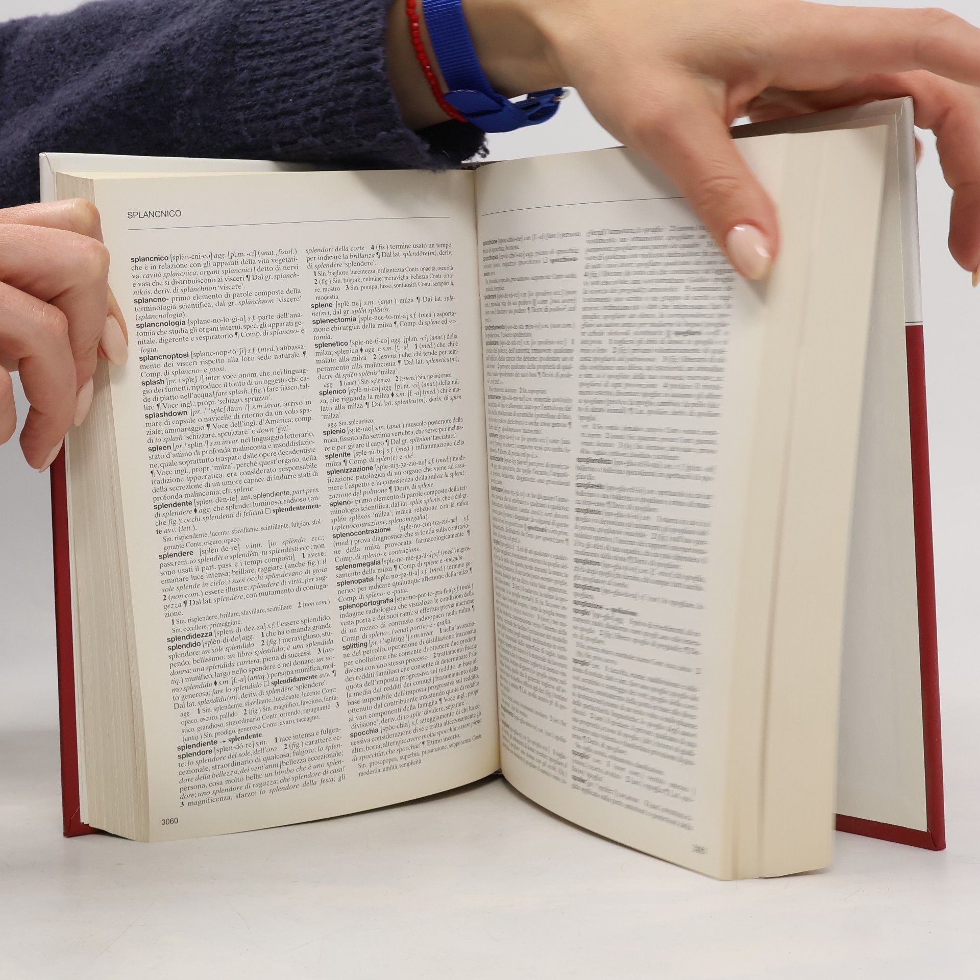 Autores varios l'Enciclopedia. Dizionario di Italiano 24. Rovi-Z