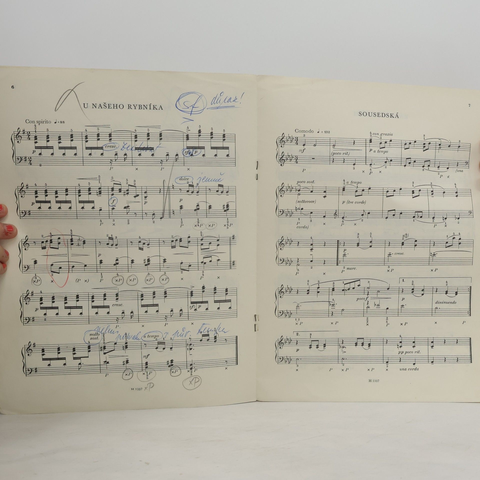 František Muzika Z kraje rybníků