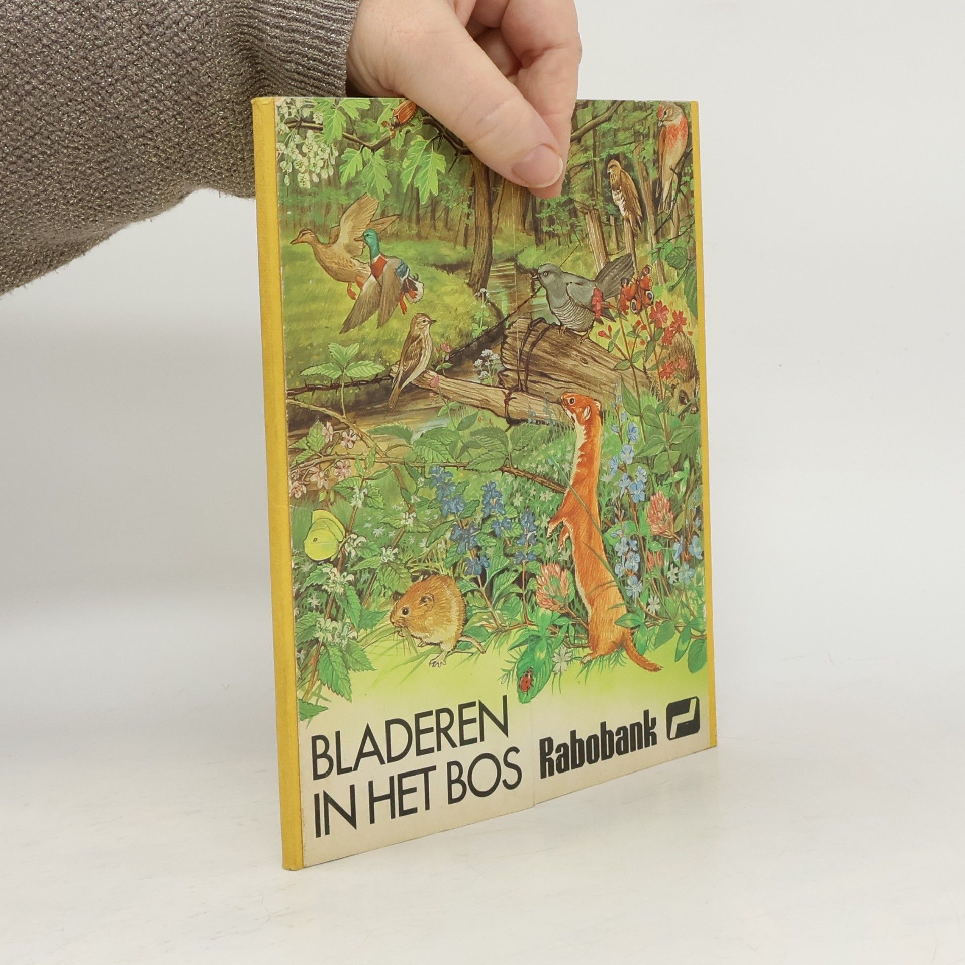 Hans Michielsen Bladeren in het bos