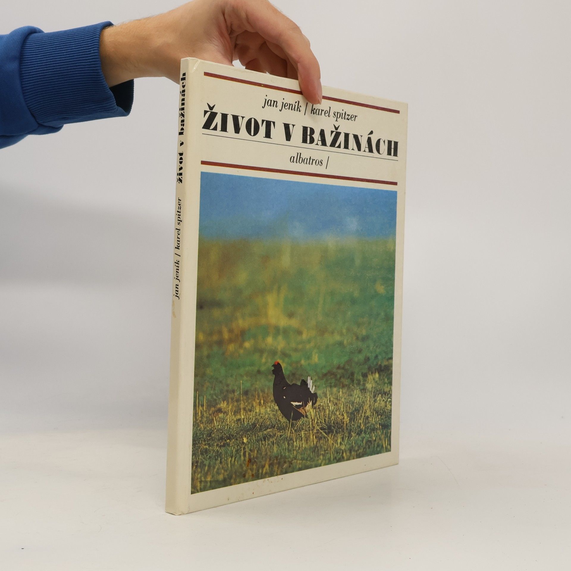 Život v bažinách