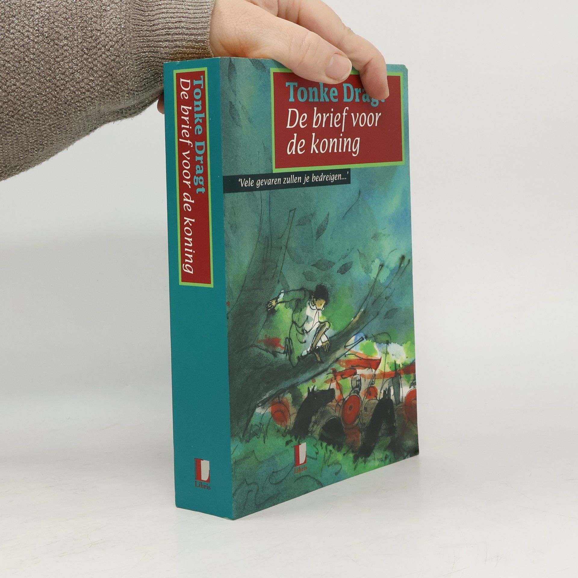 Tonke Dragt De brief voor de koning
