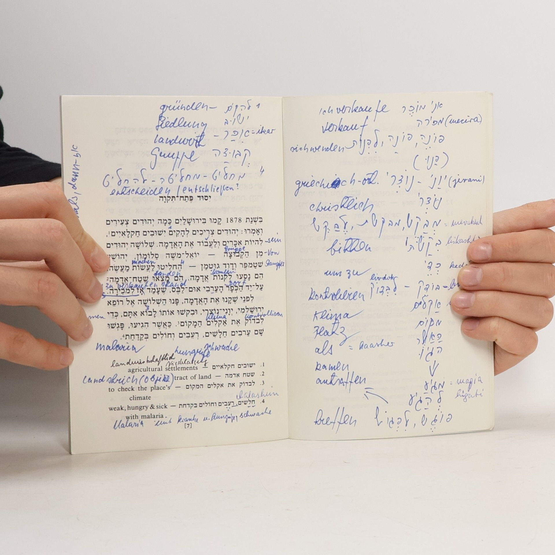 Autorenkollektiv ימים ראשונים. זיכרונות מארץ־ישראל