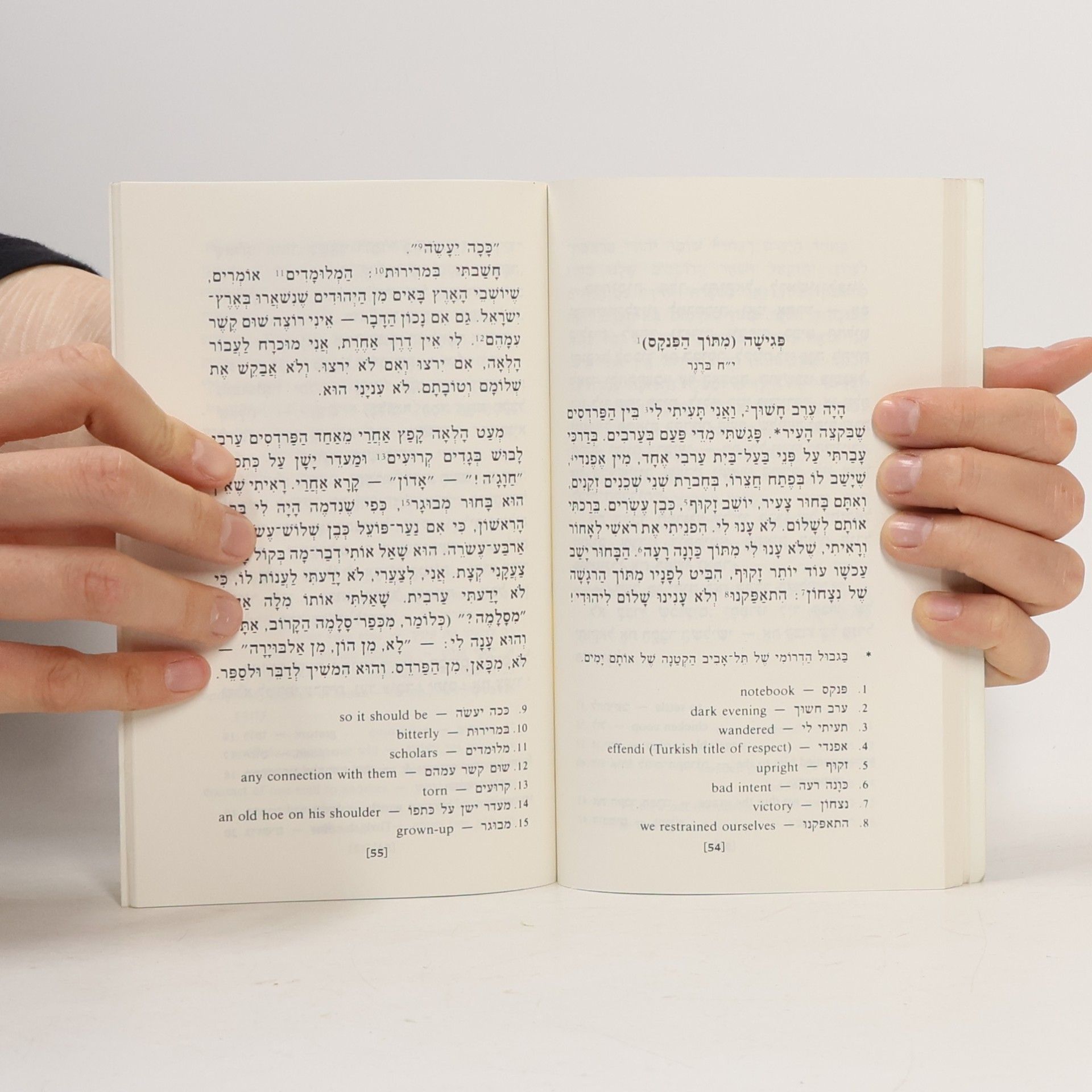Autorenkollektiv ימים ראשונים. זיכרונות מארץ־ישראל
