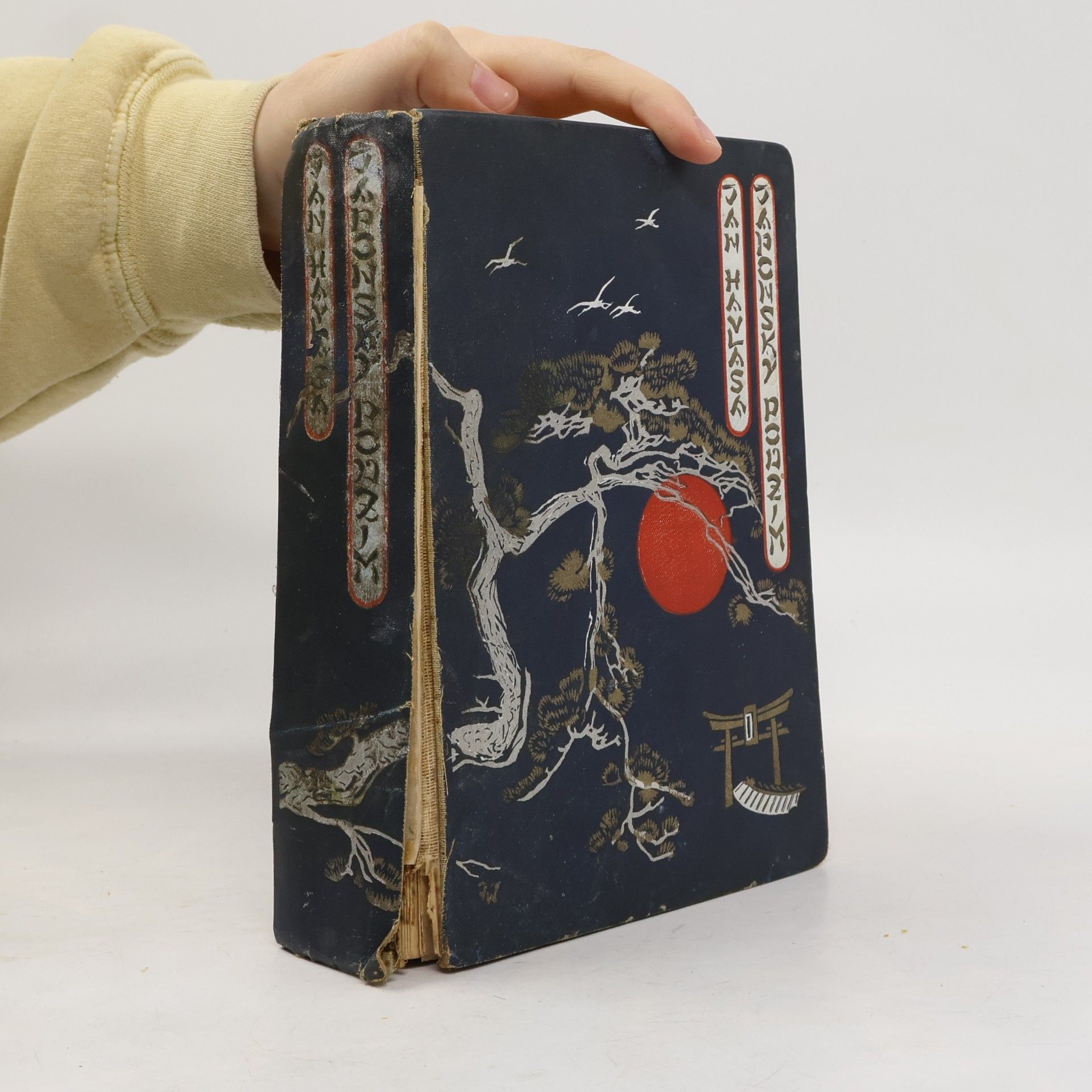 Japonský podzim : zlomky života