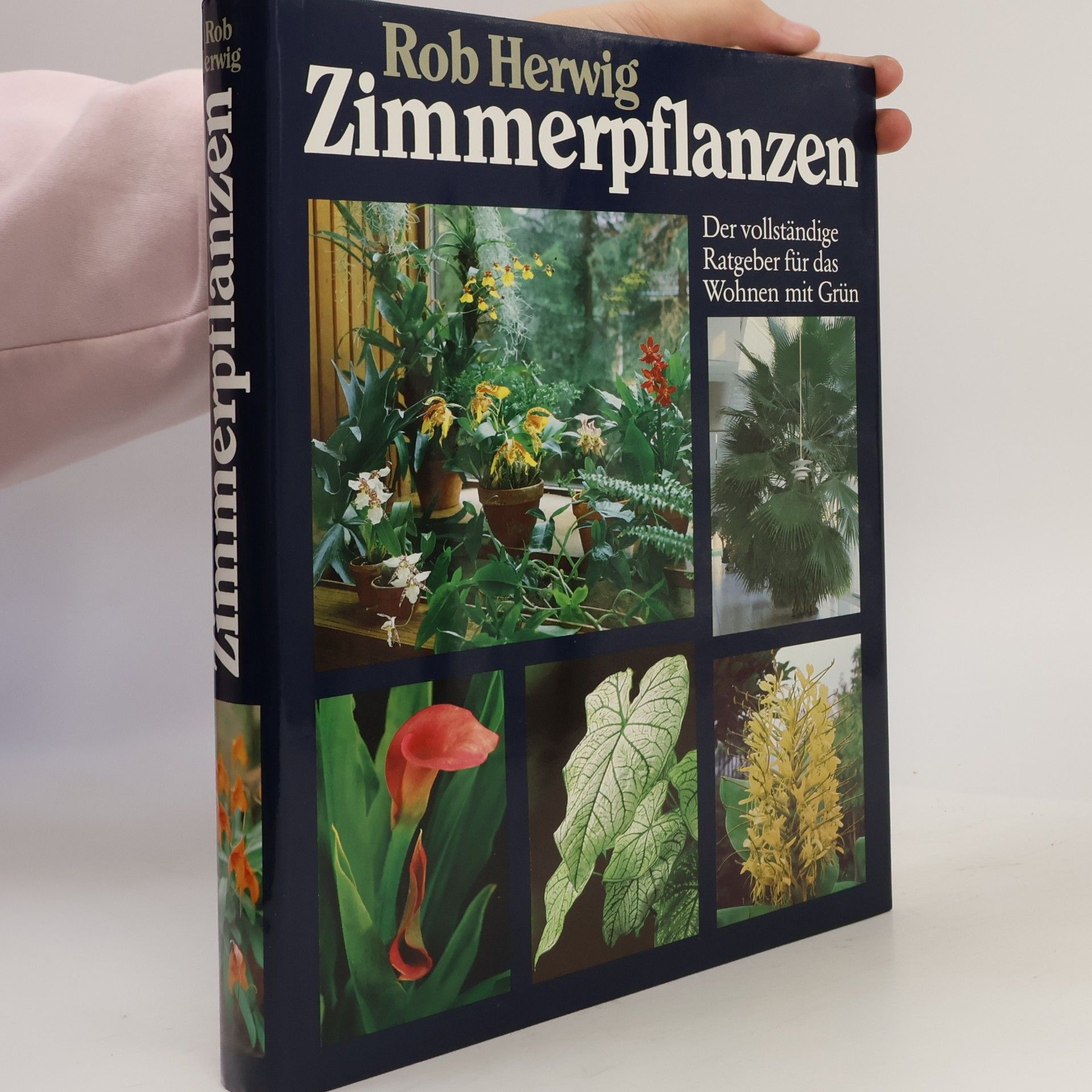 Zimmerpflanzen
