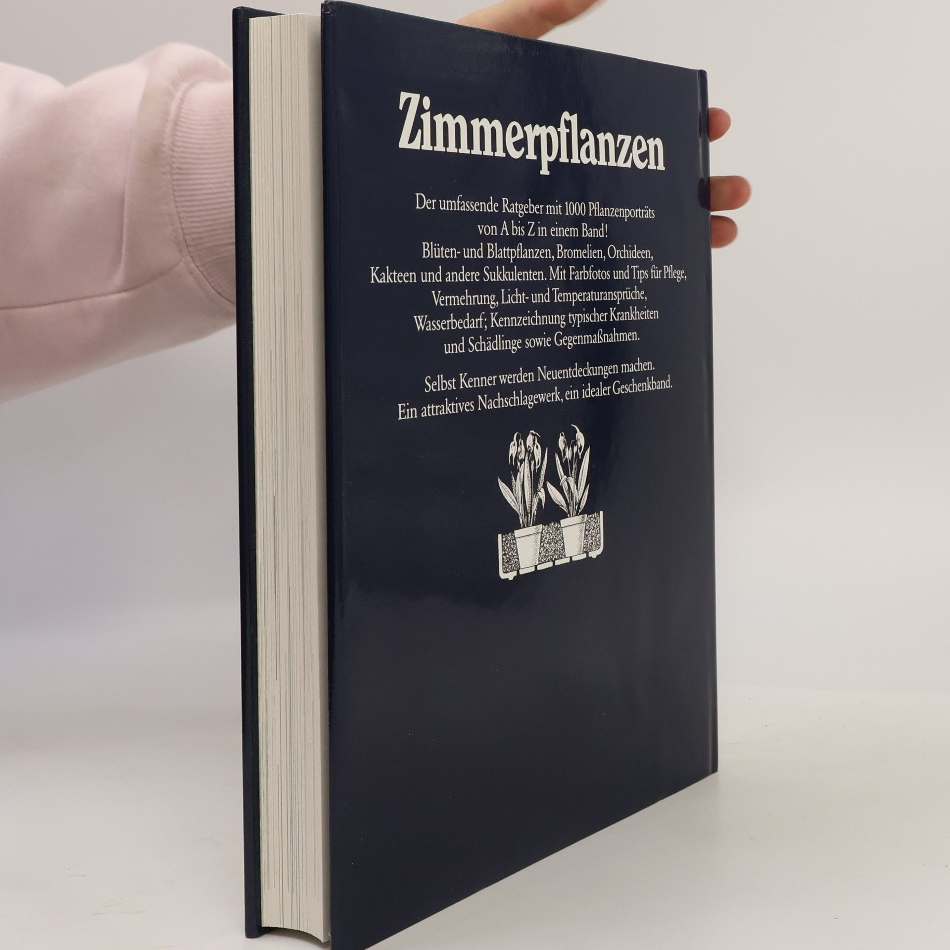 Rob Herwig Zimmerpflanzen