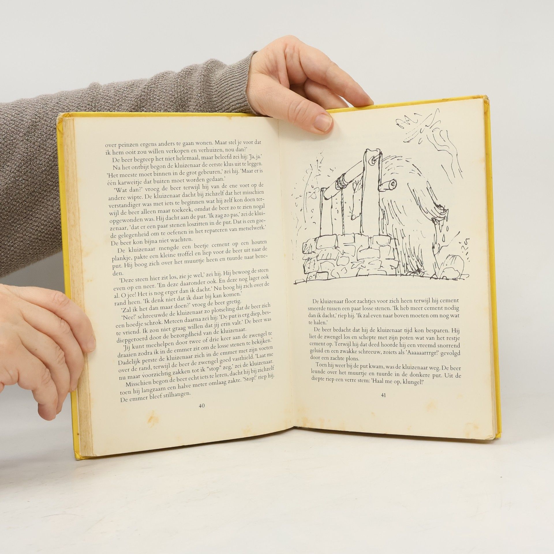 Quentin Blake De kluizenaar en de beer