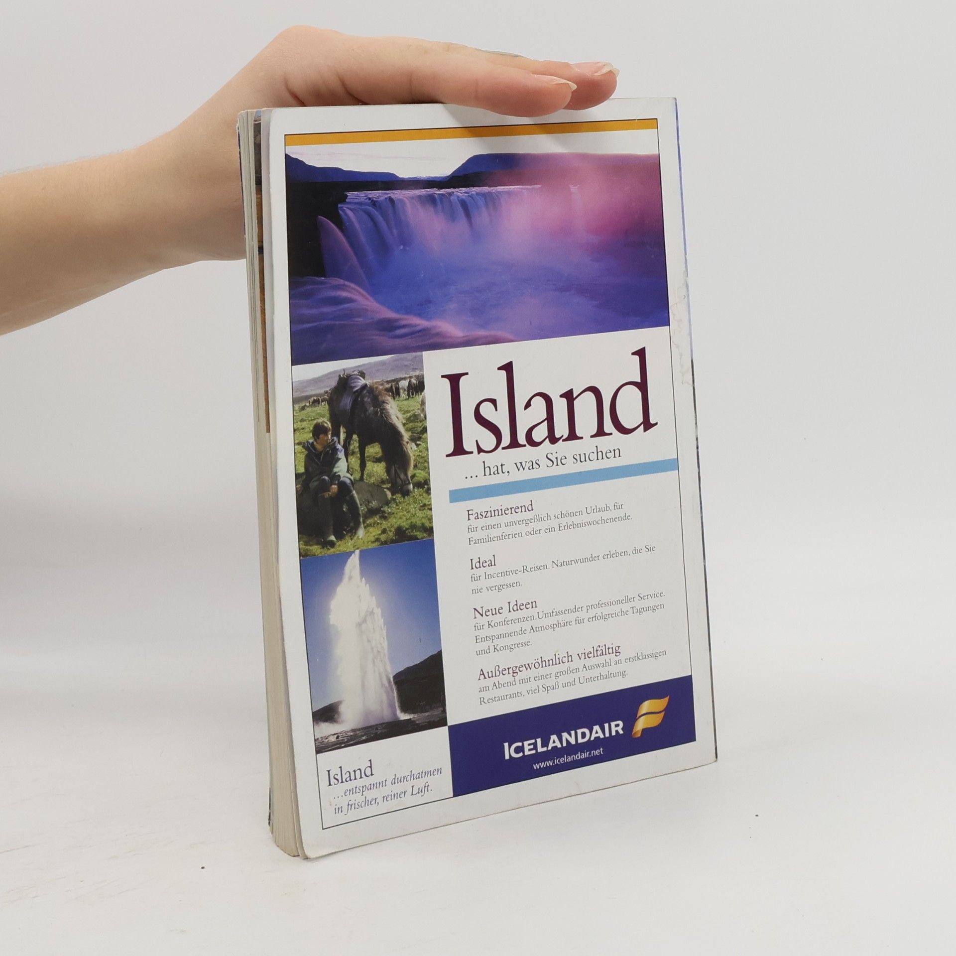 Kolektiv autorů Rund um Island 2001