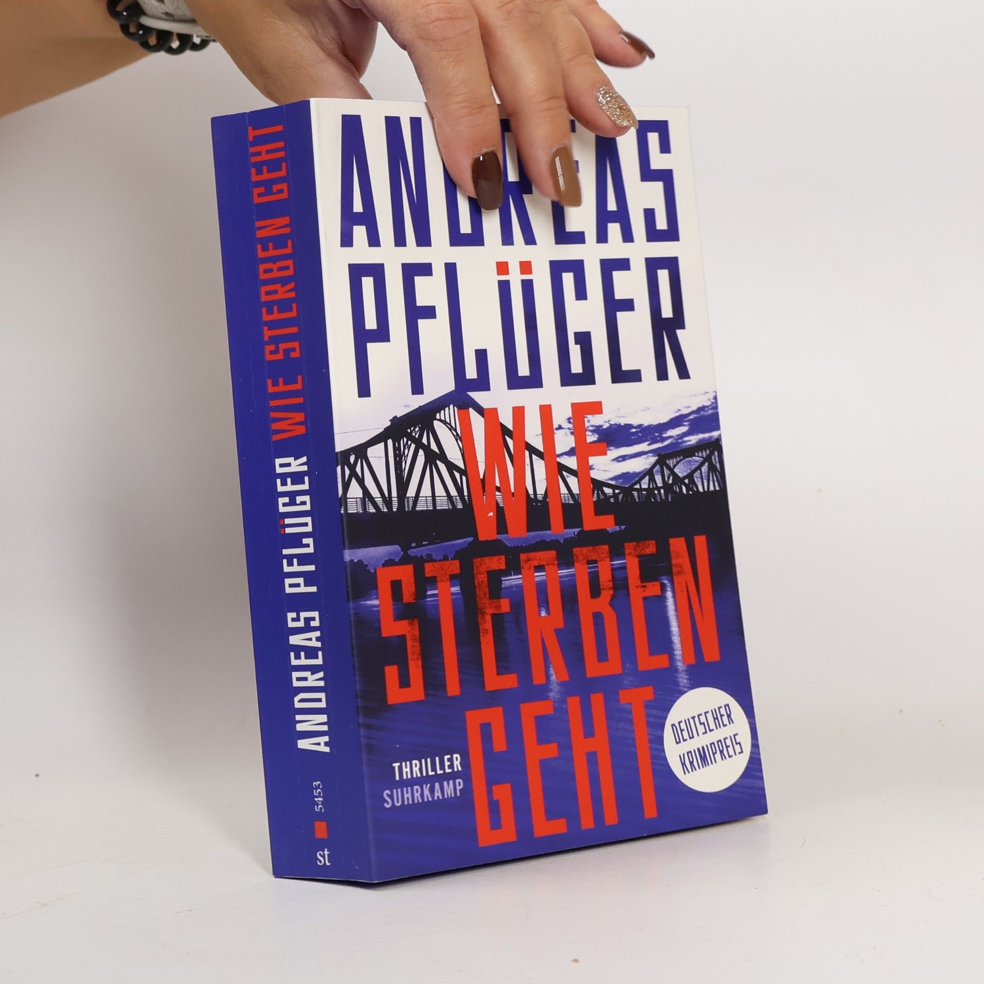 Andreas Pflüger Wie Sterben geht